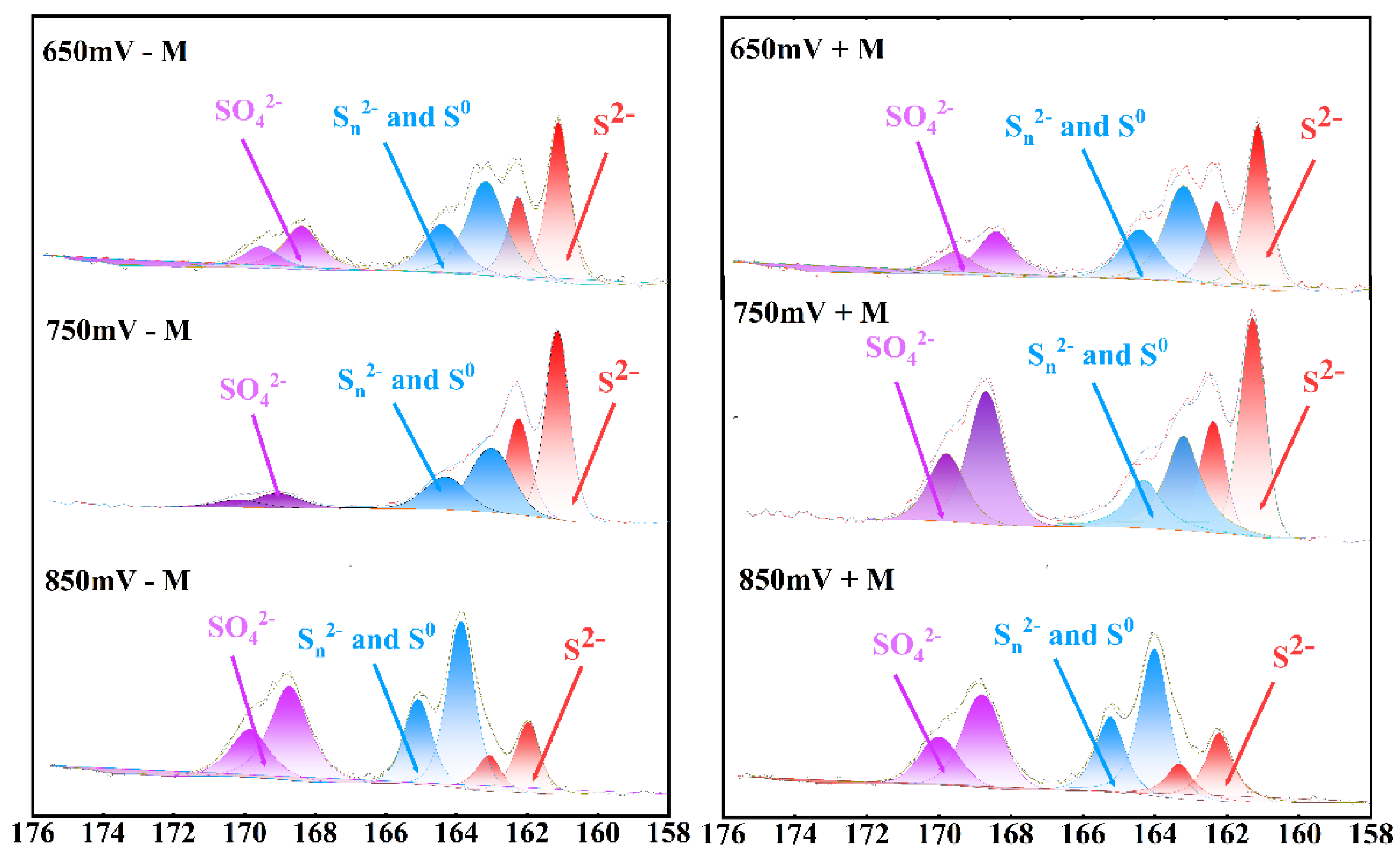 Preprints 152473 g005