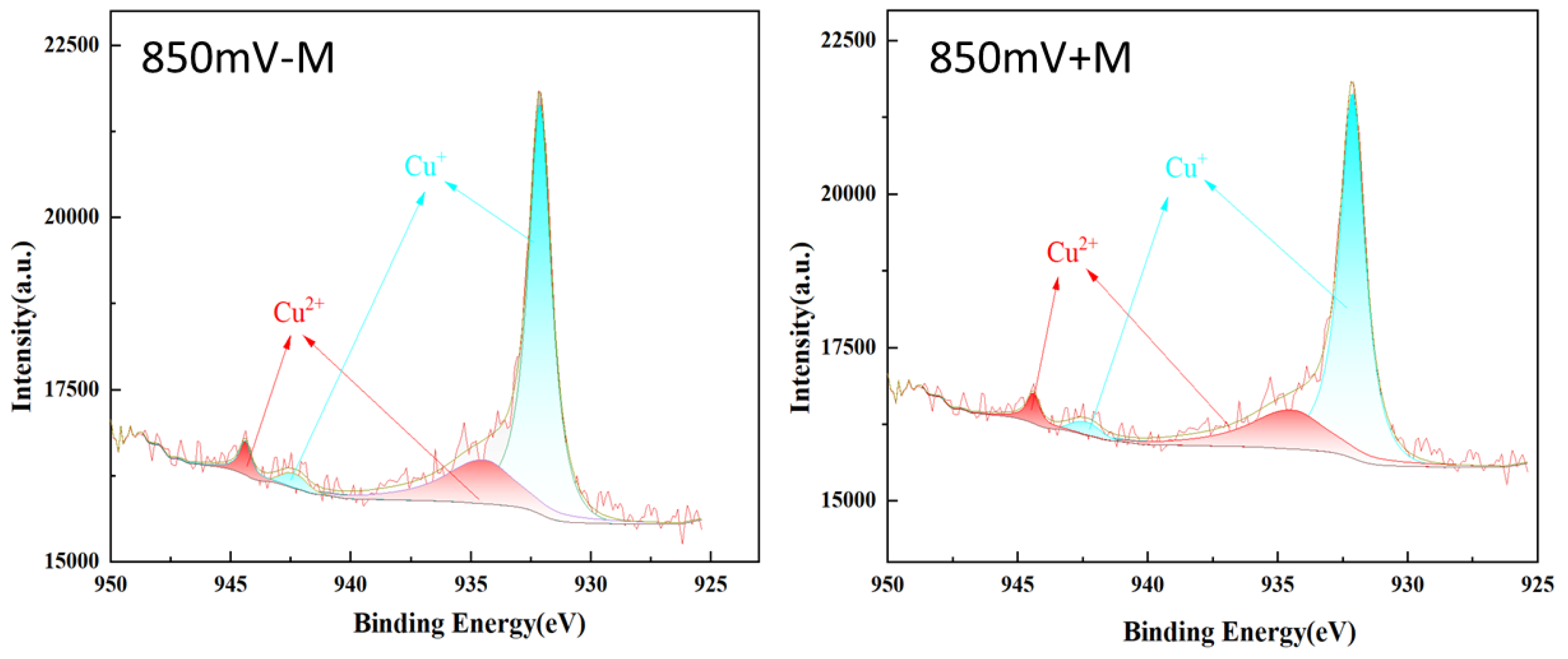 Preprints 152473 g008