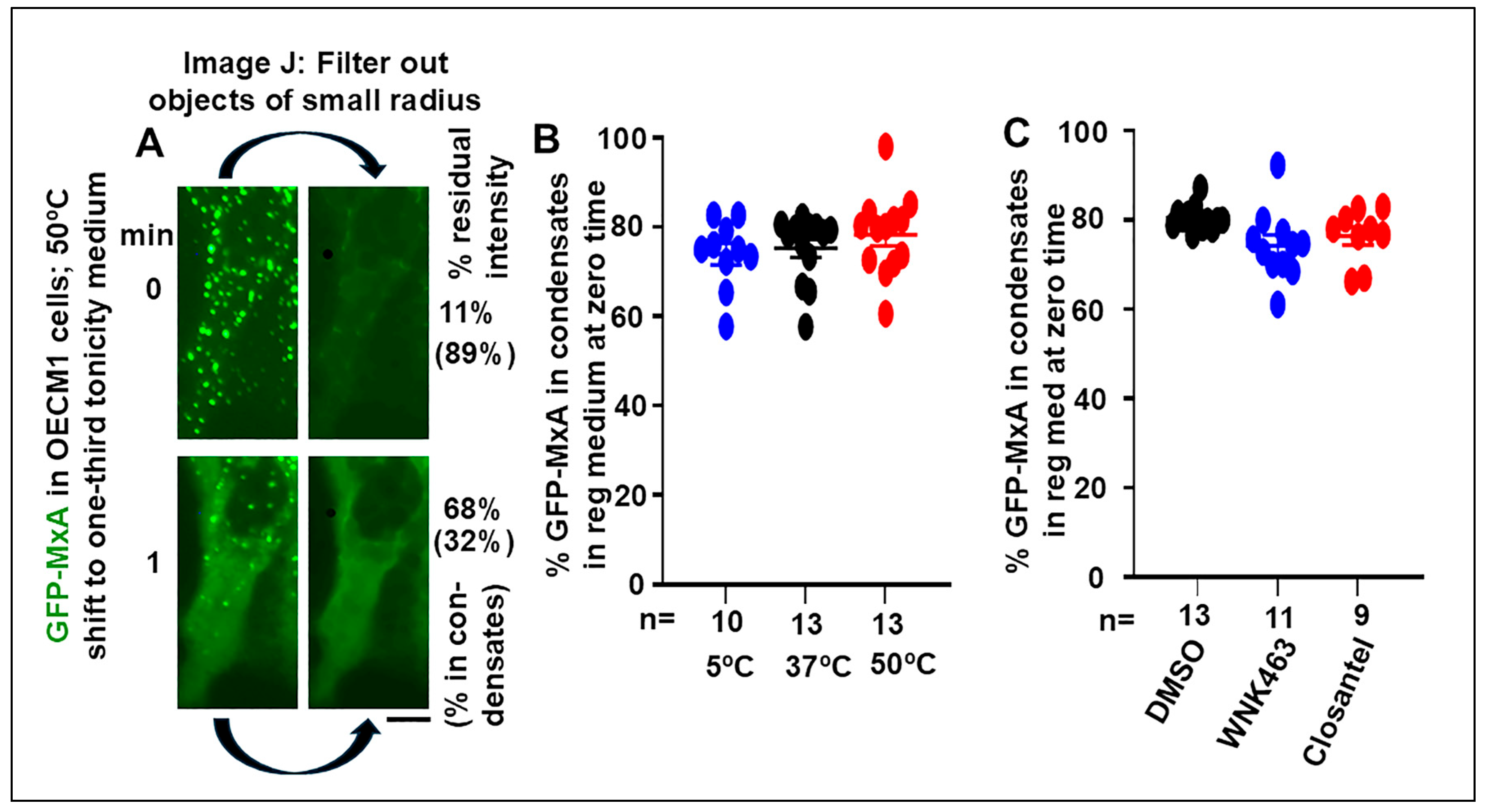 Preprints 151277 g001