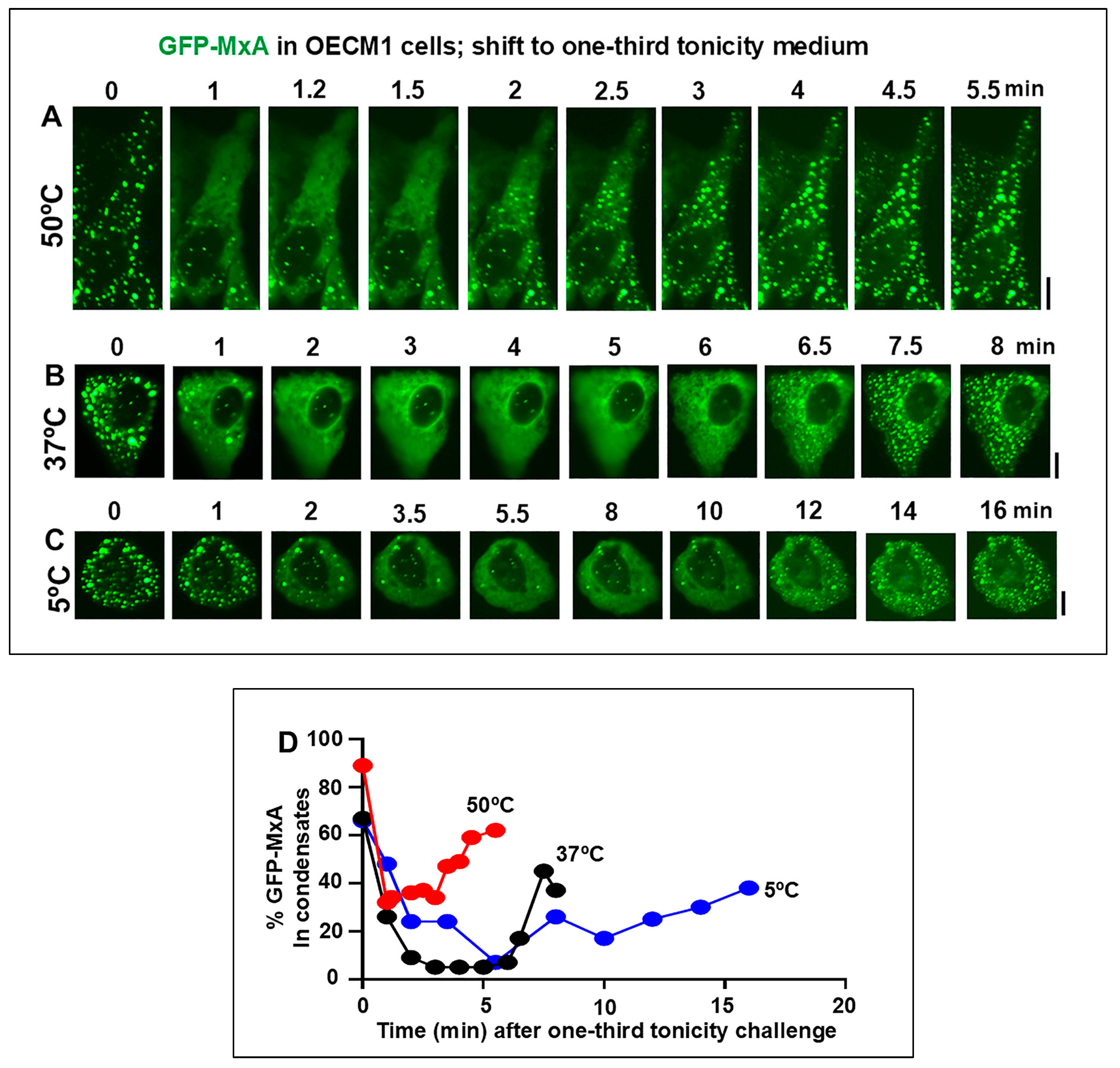 Preprints 151277 g002
