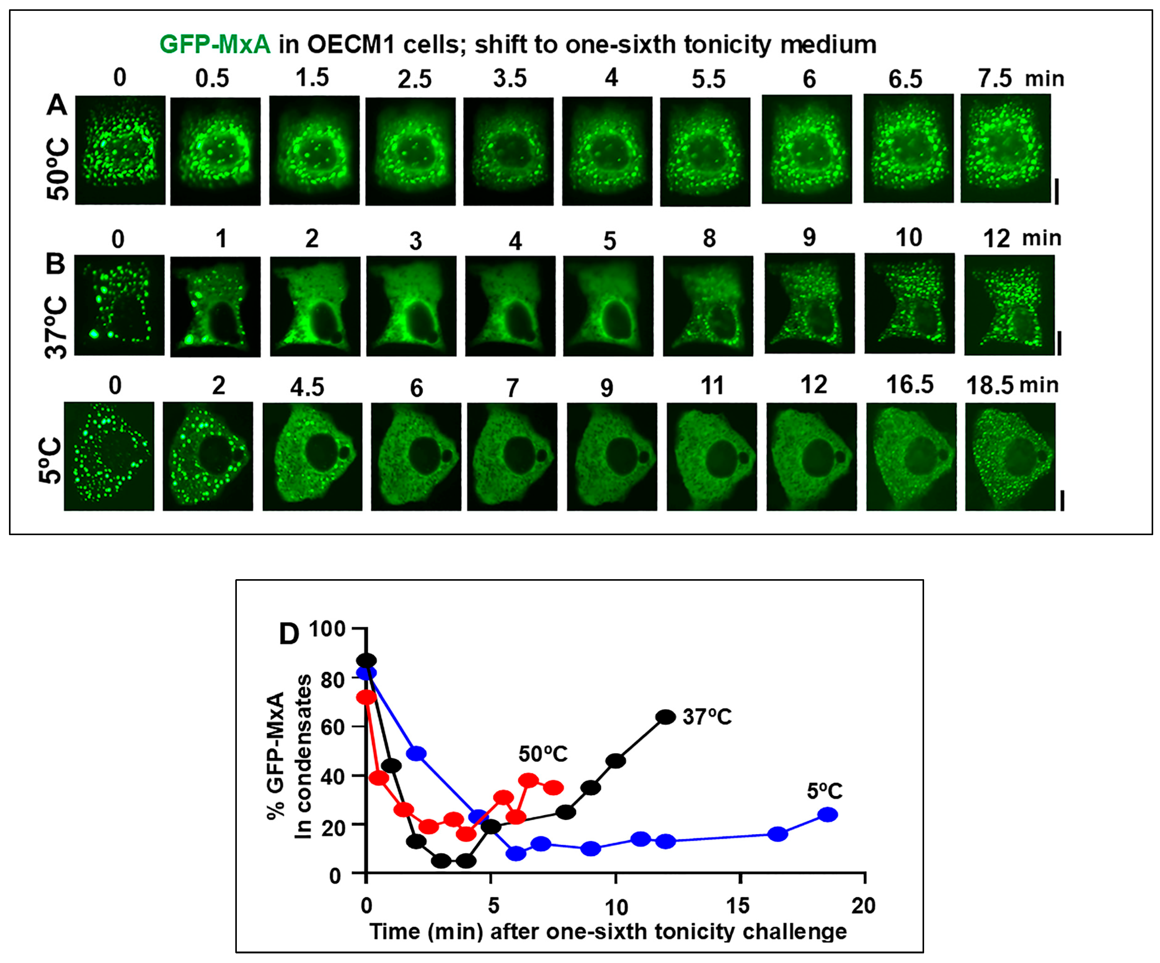 Preprints 151277 g003