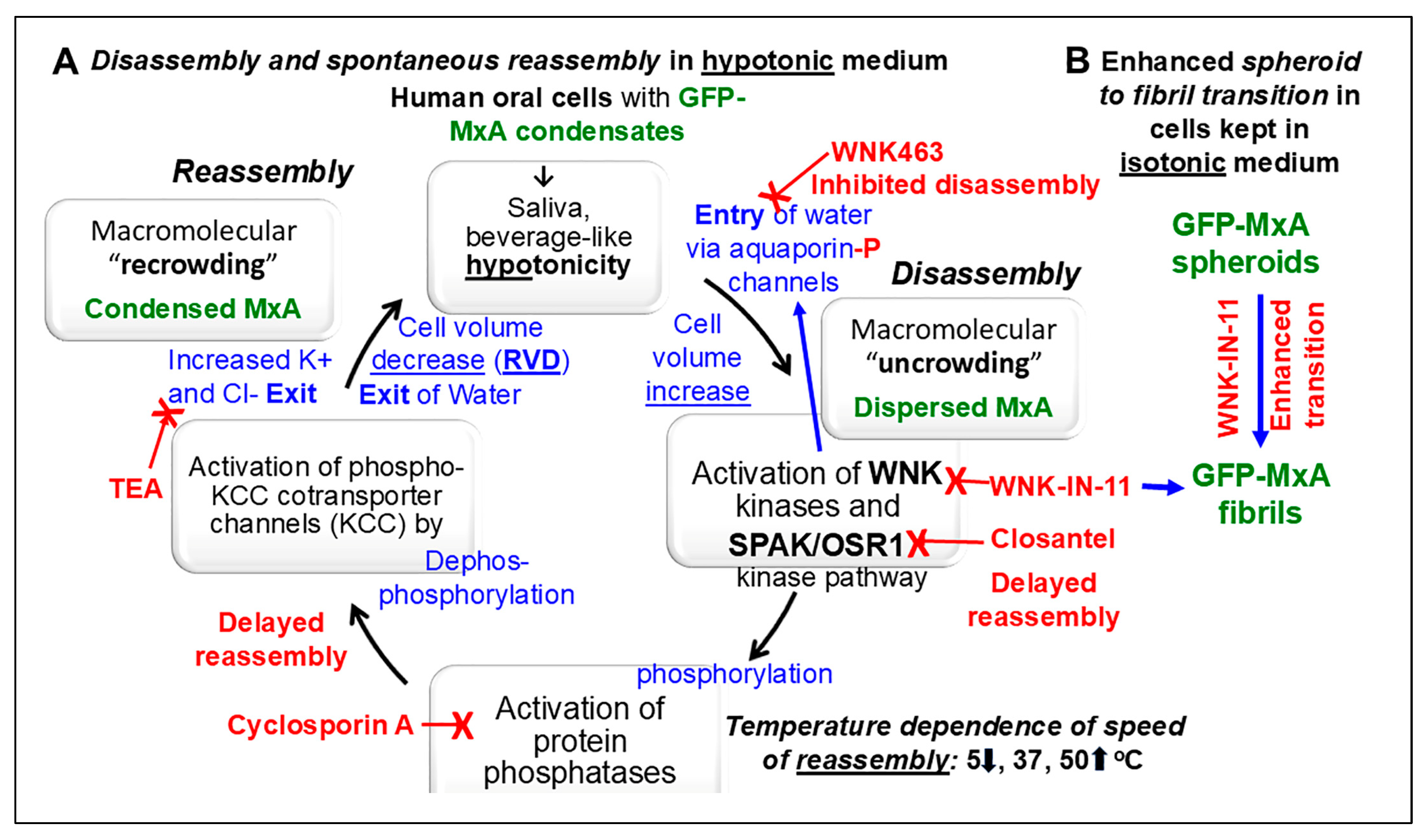 Preprints 151277 g008