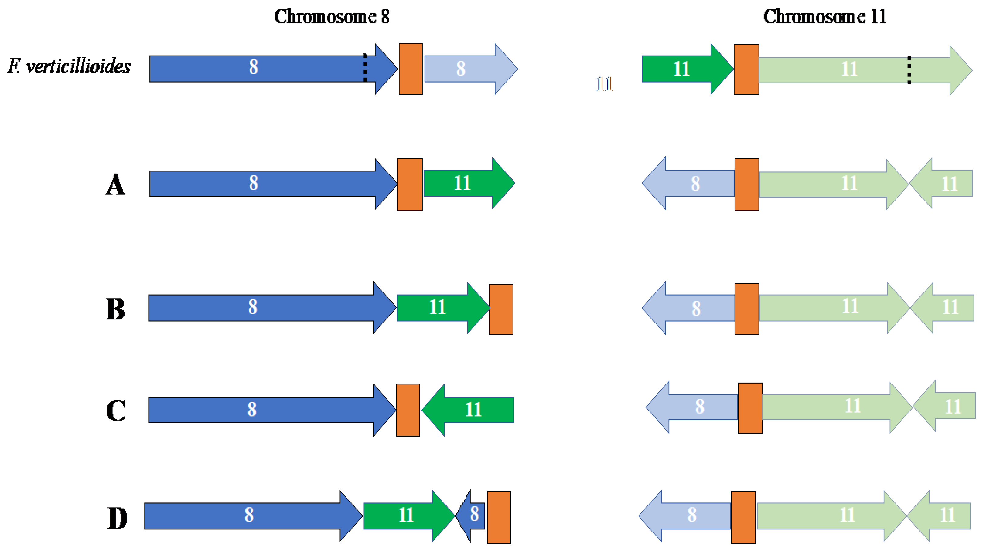 Preprints 92175 g003