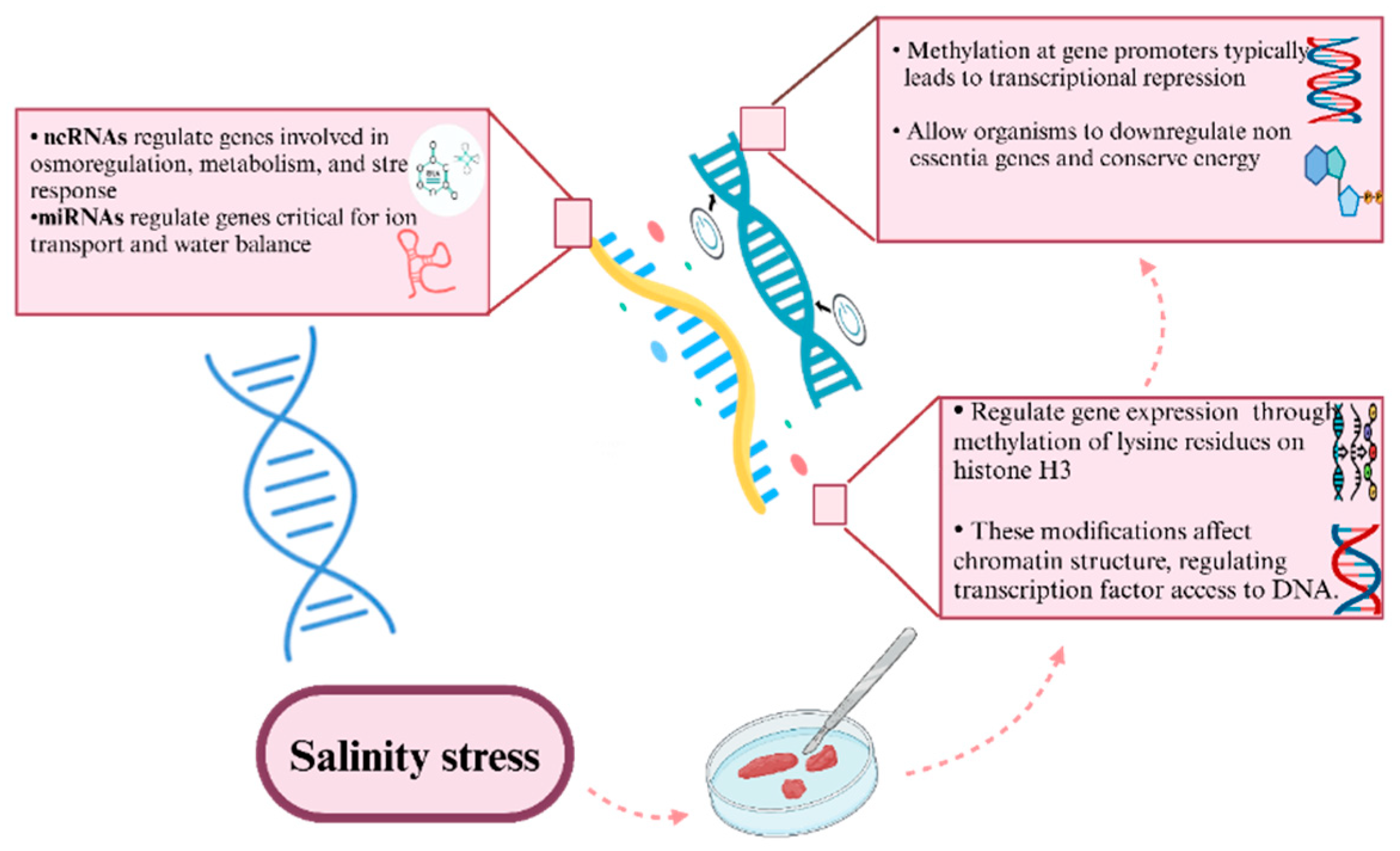 Preprints 156660 g003