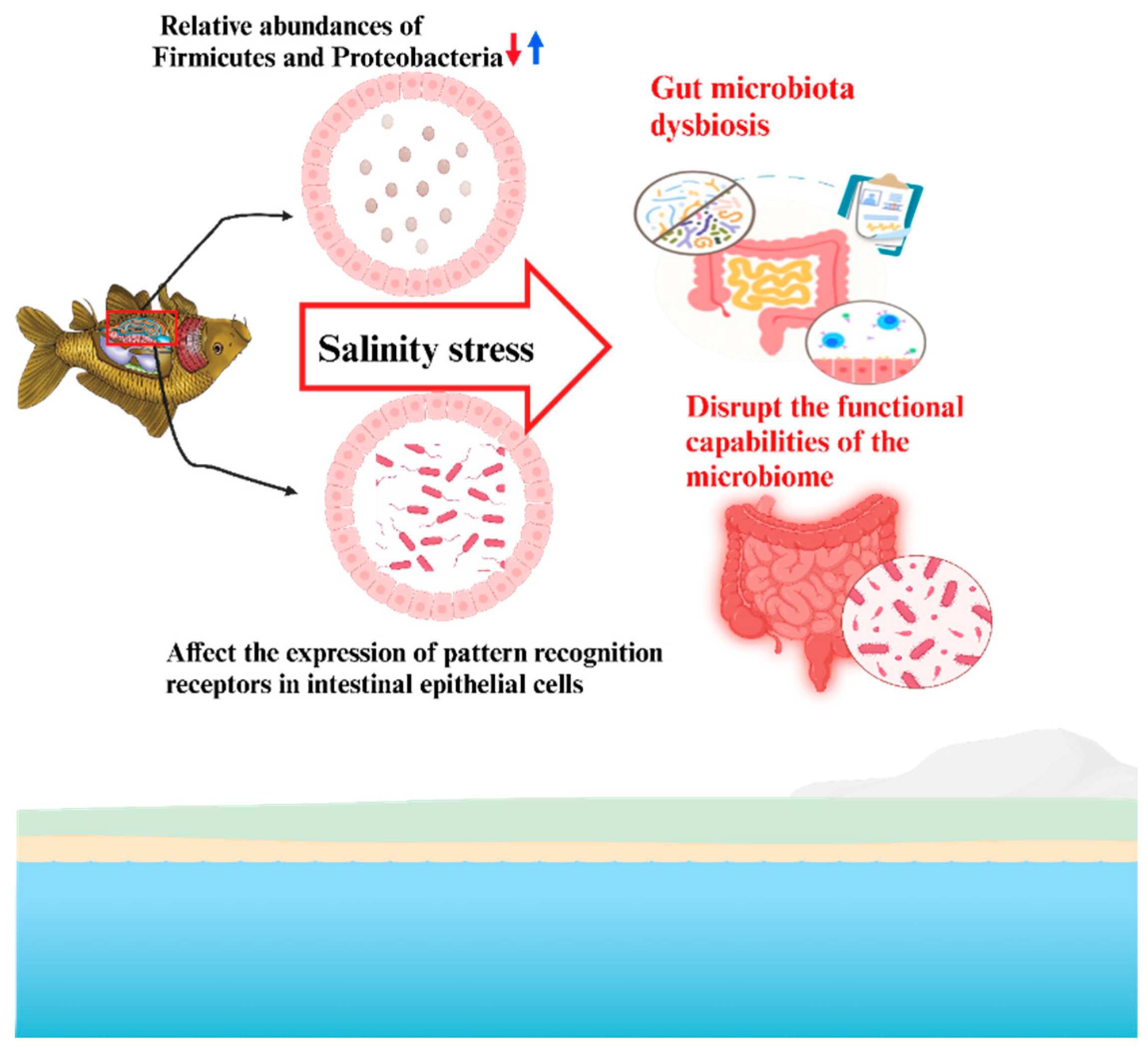 Preprints 156660 g004