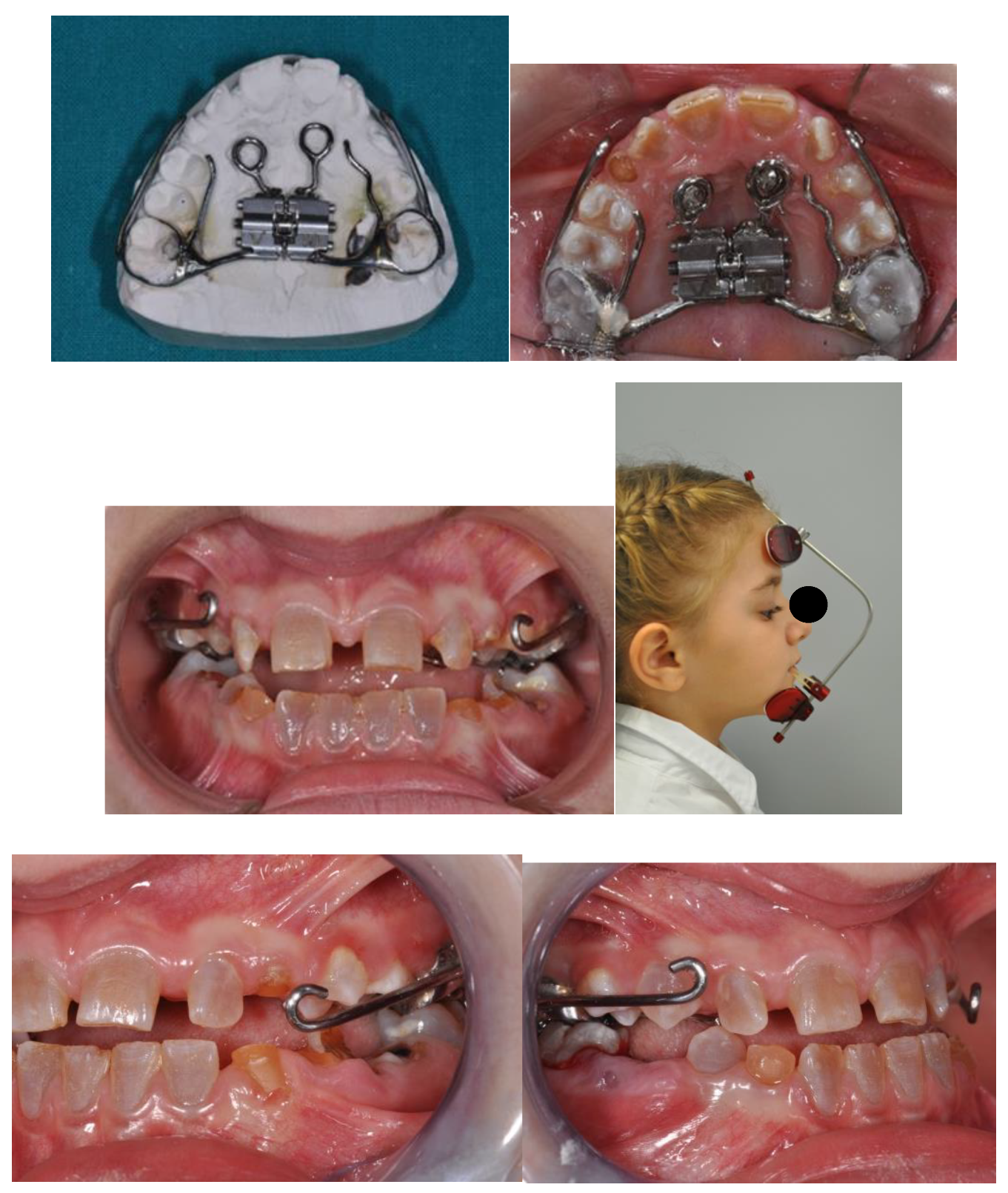 Preprints 140890 g004b