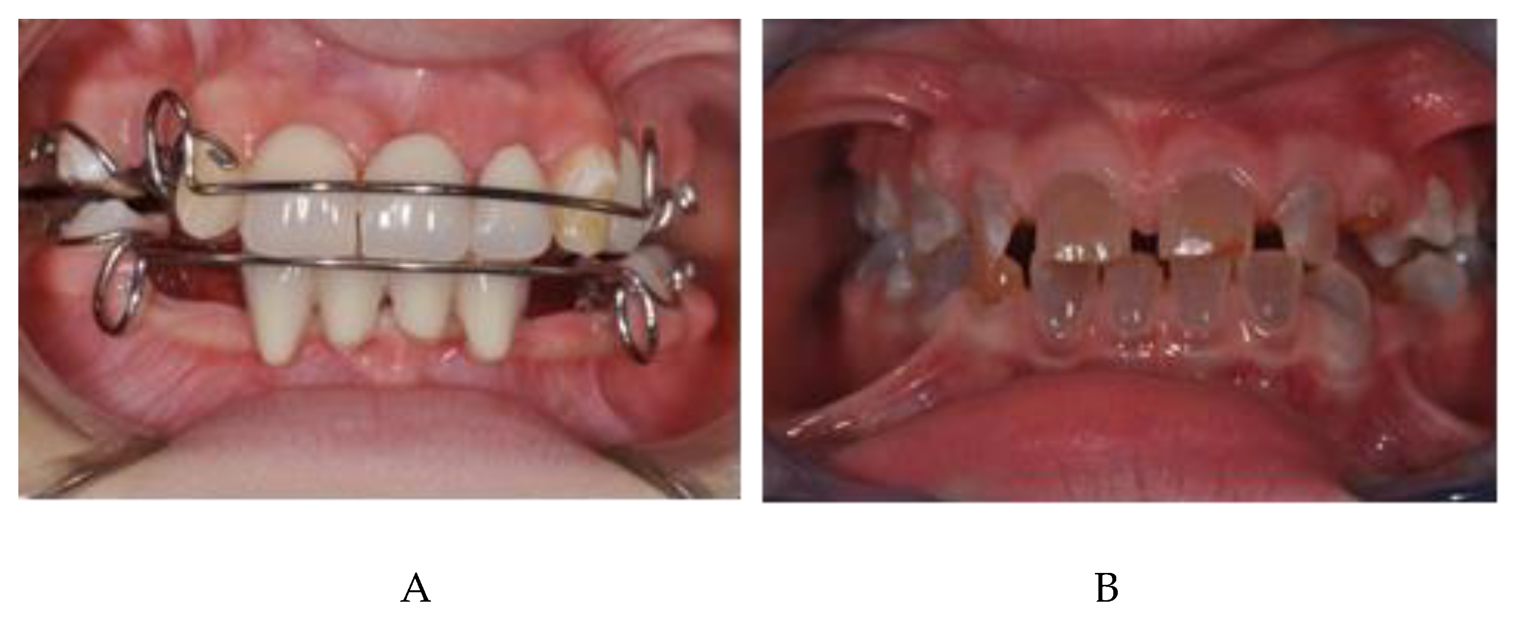 Preprints 140890 g010