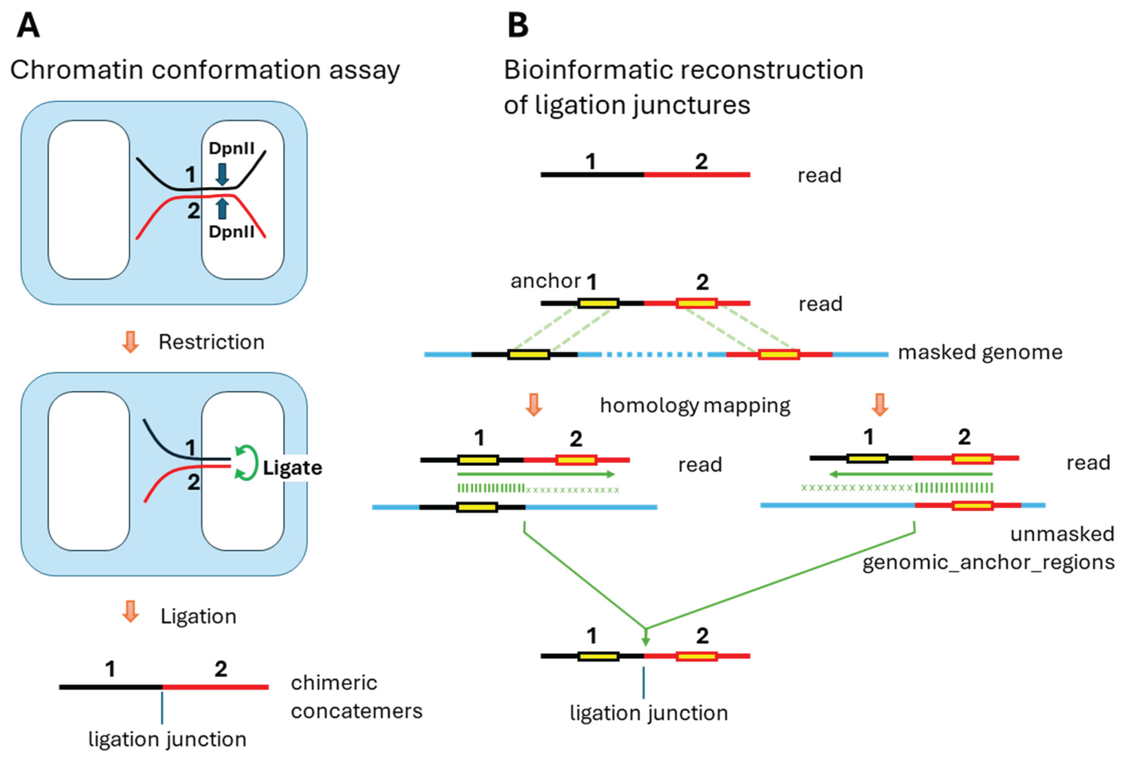Preprints 169524 g001