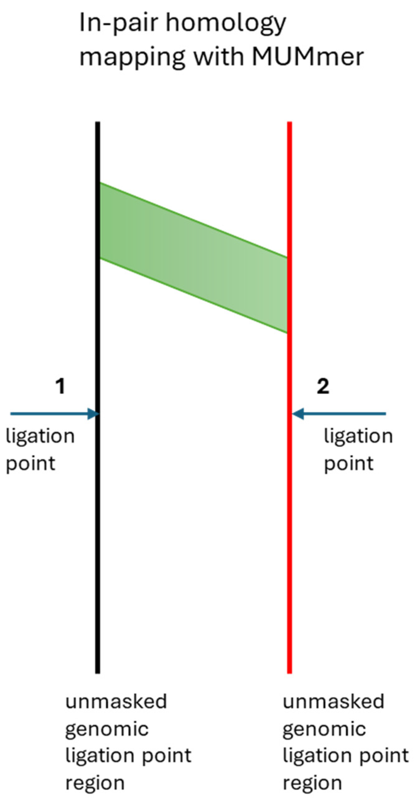Preprints 169524 g002