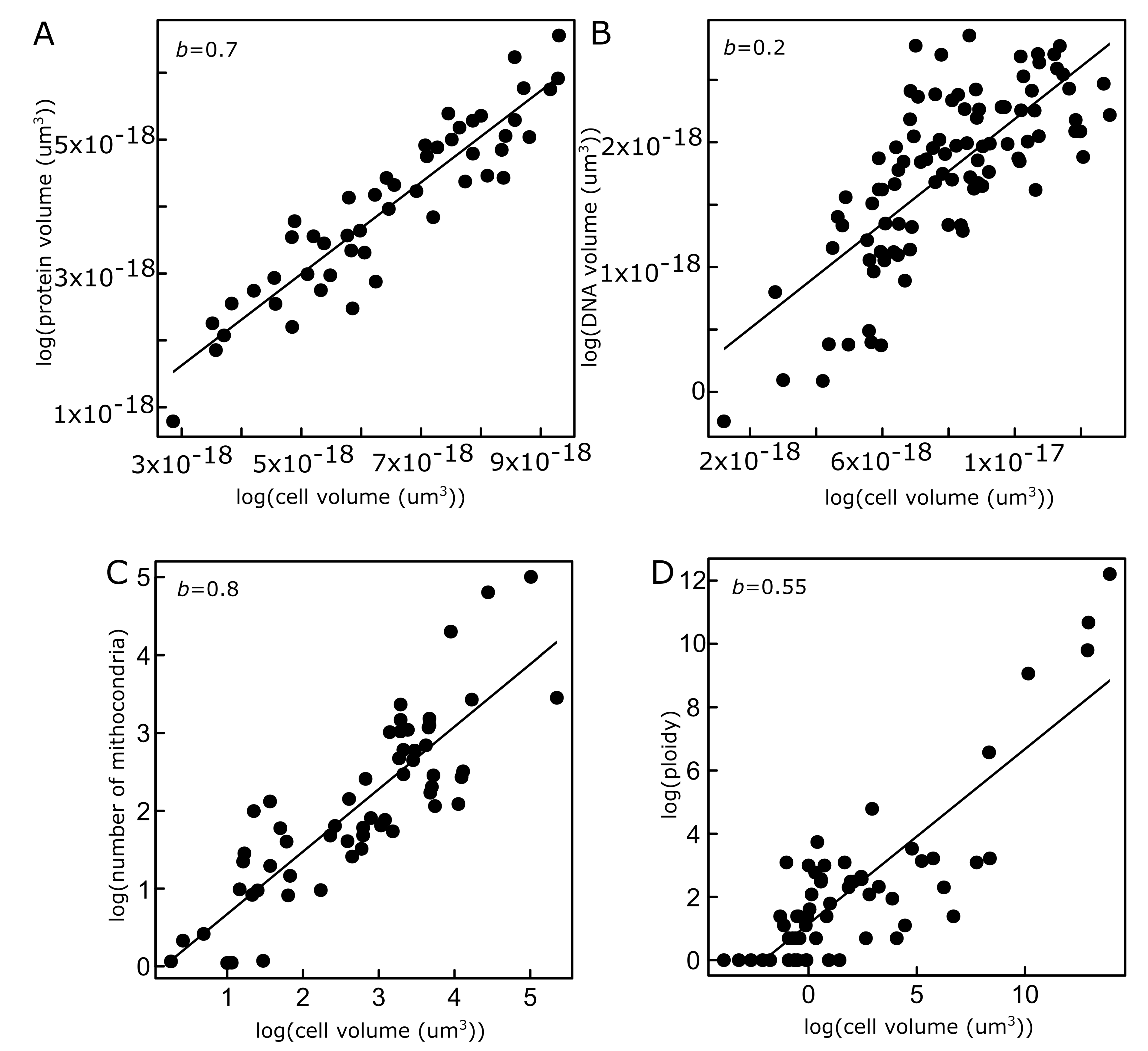 Preprints 167465 g001