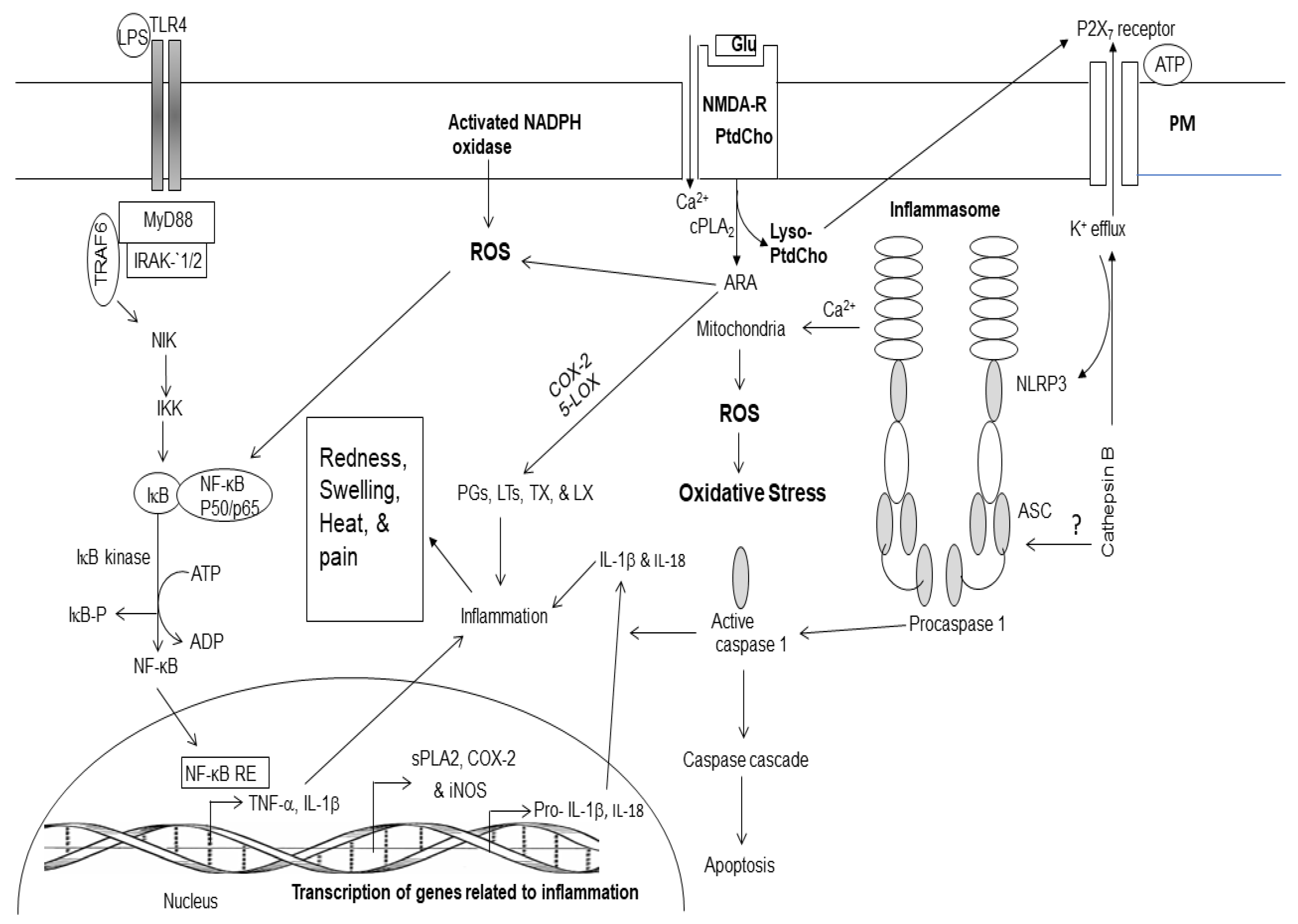 Preprints 155418 g001
