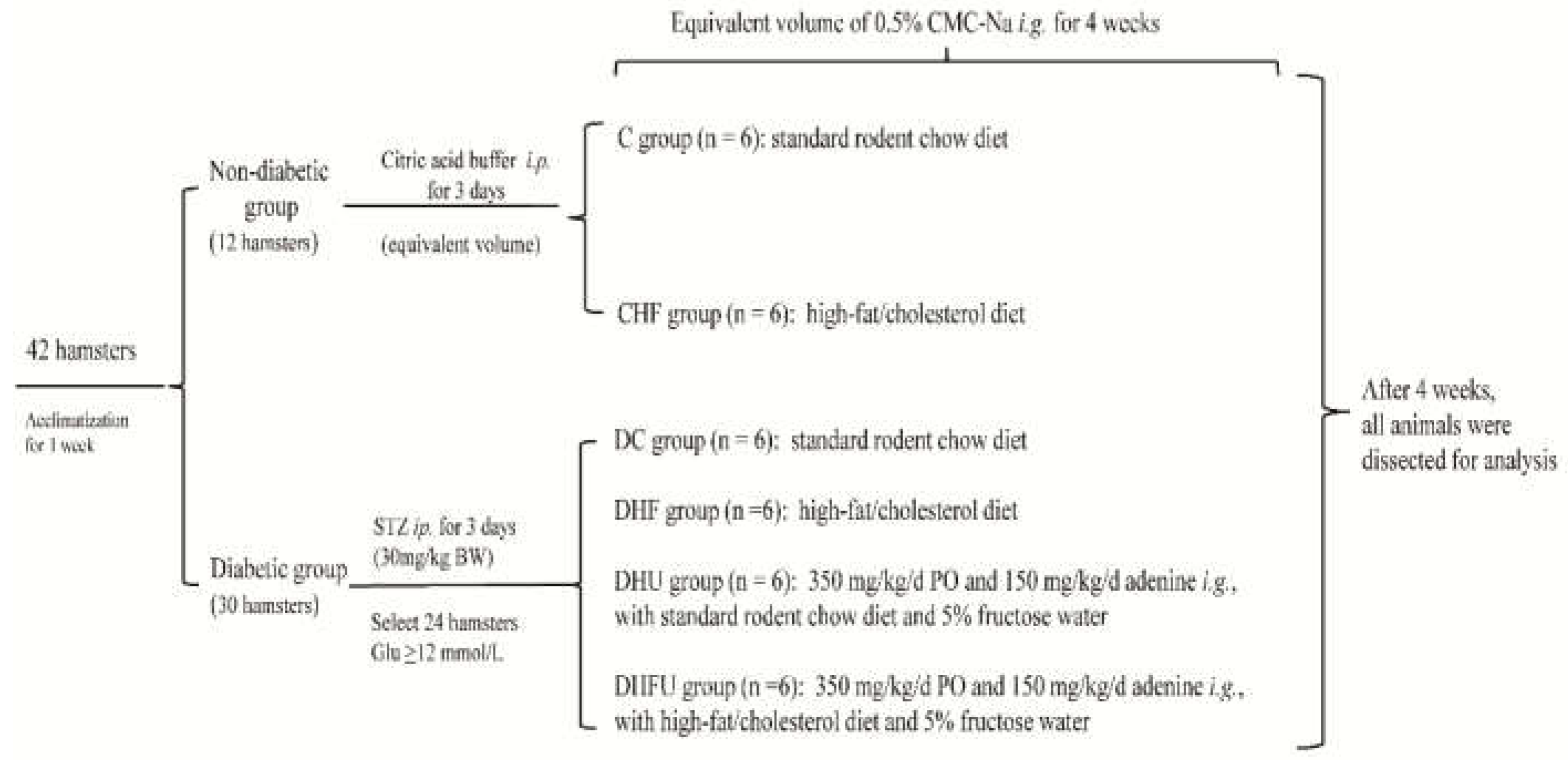 Preprints 167373 g001
