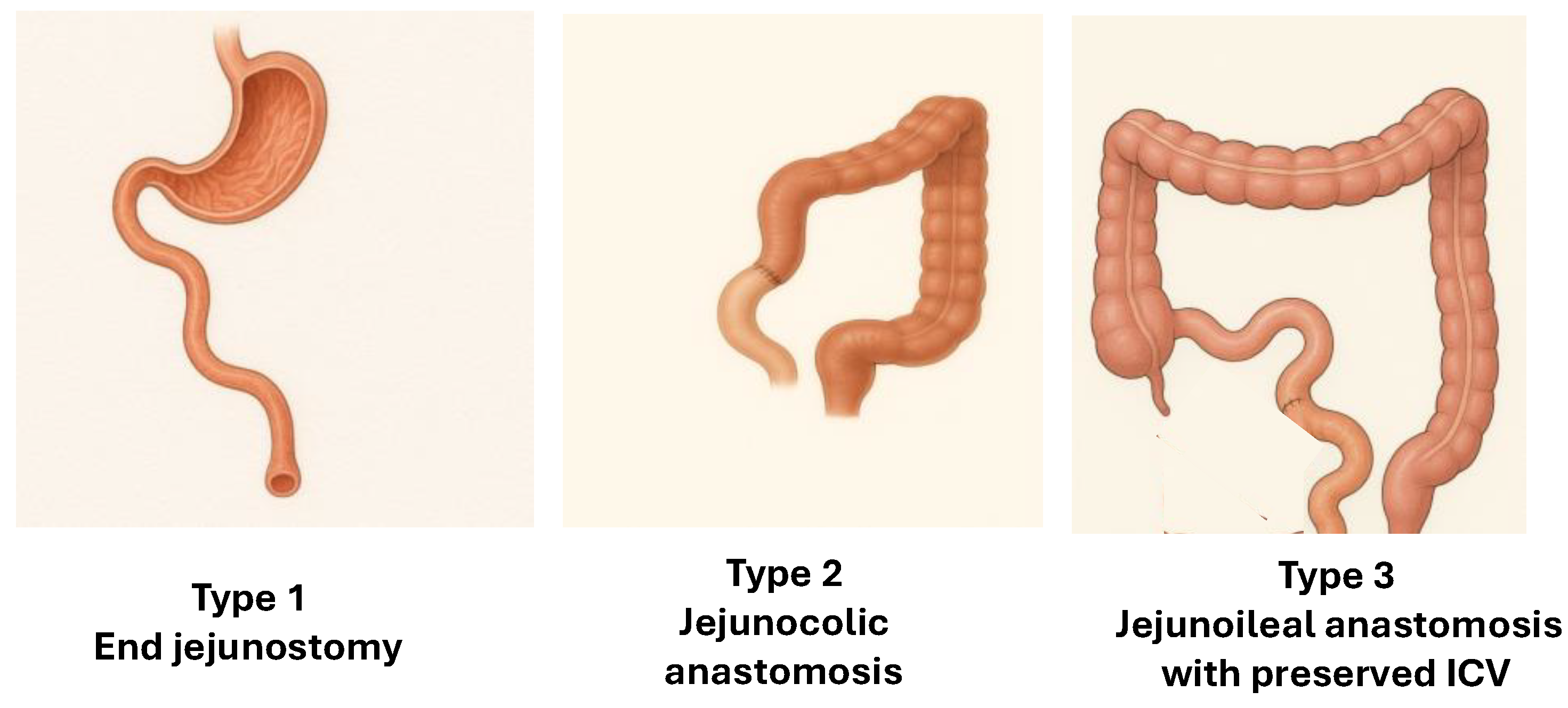 Preprints 188325 g001