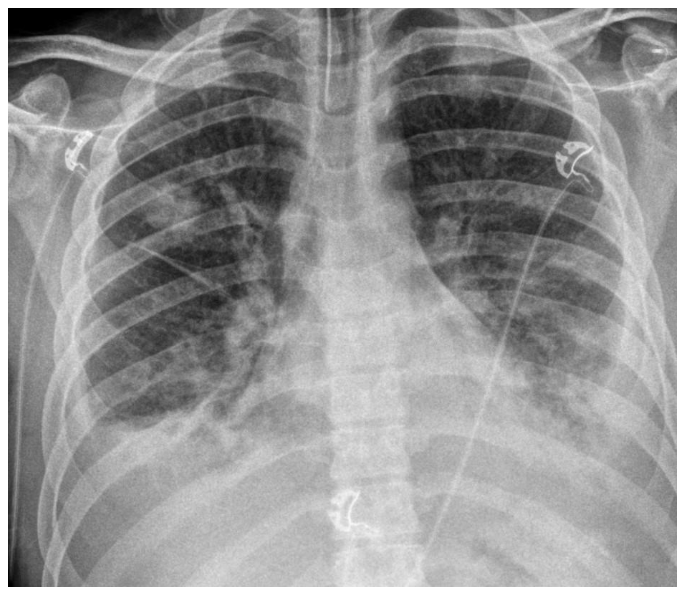 Preprints 195667 g001