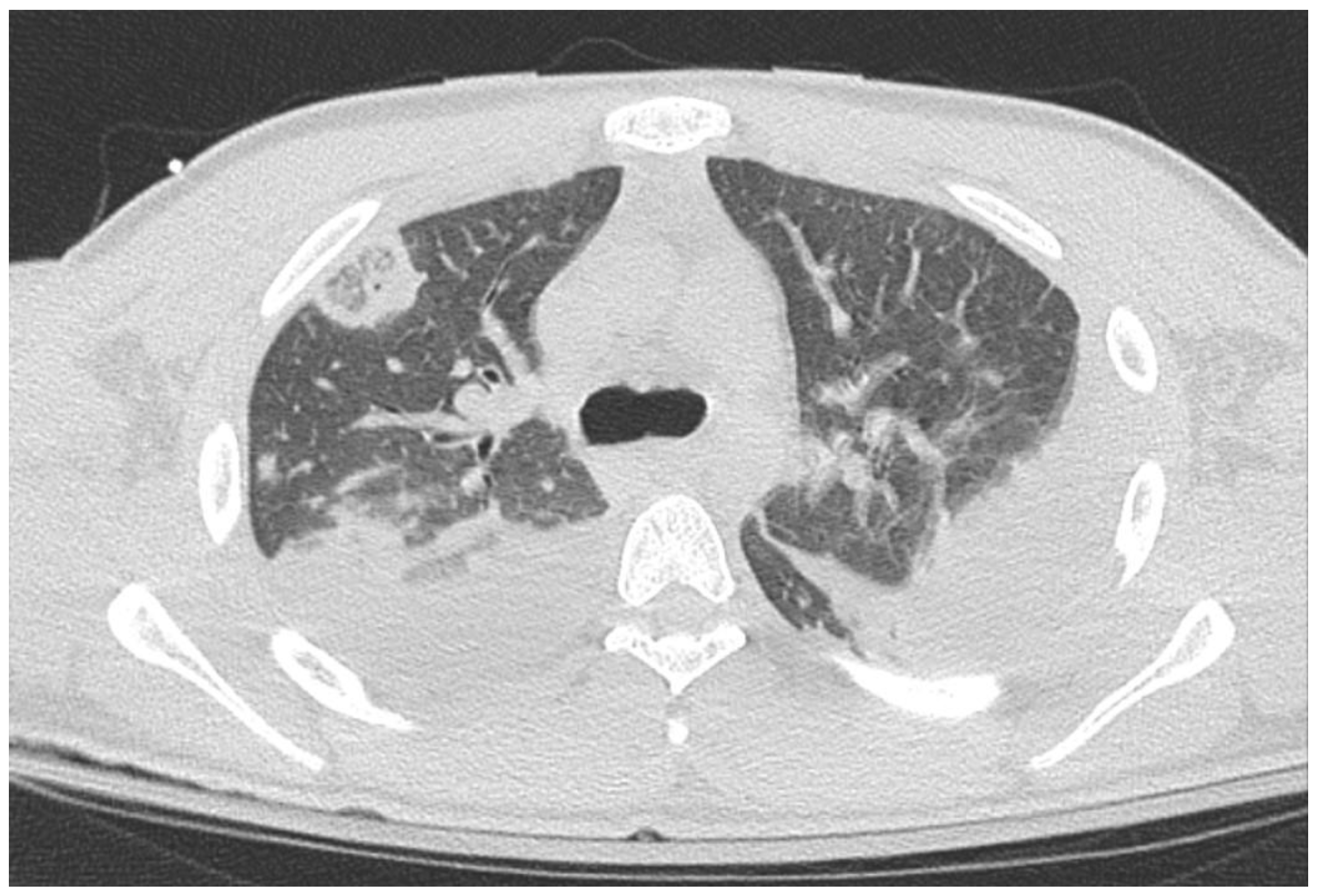 Preprints 195667 g002