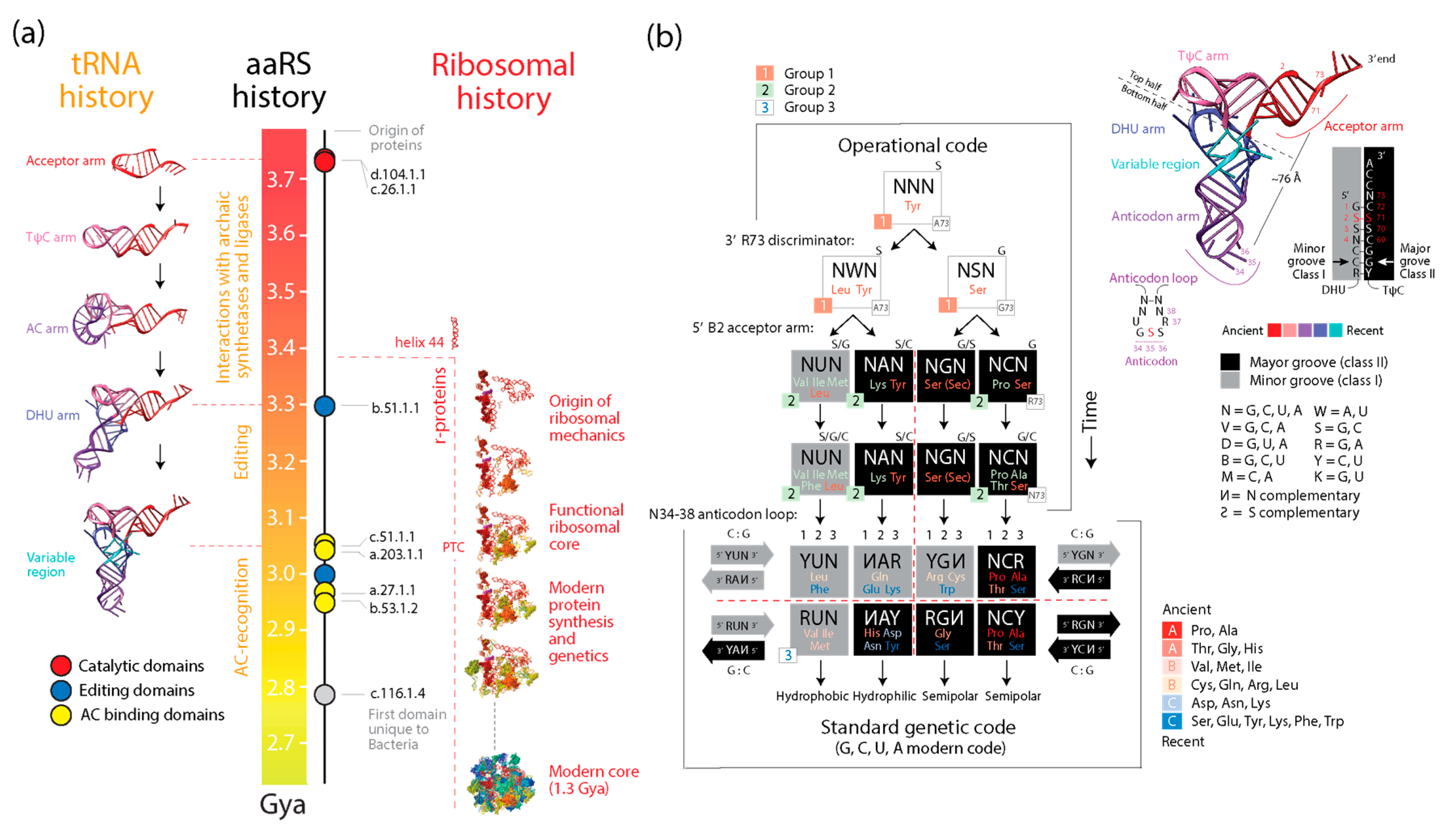 Preprints 144305 g009
