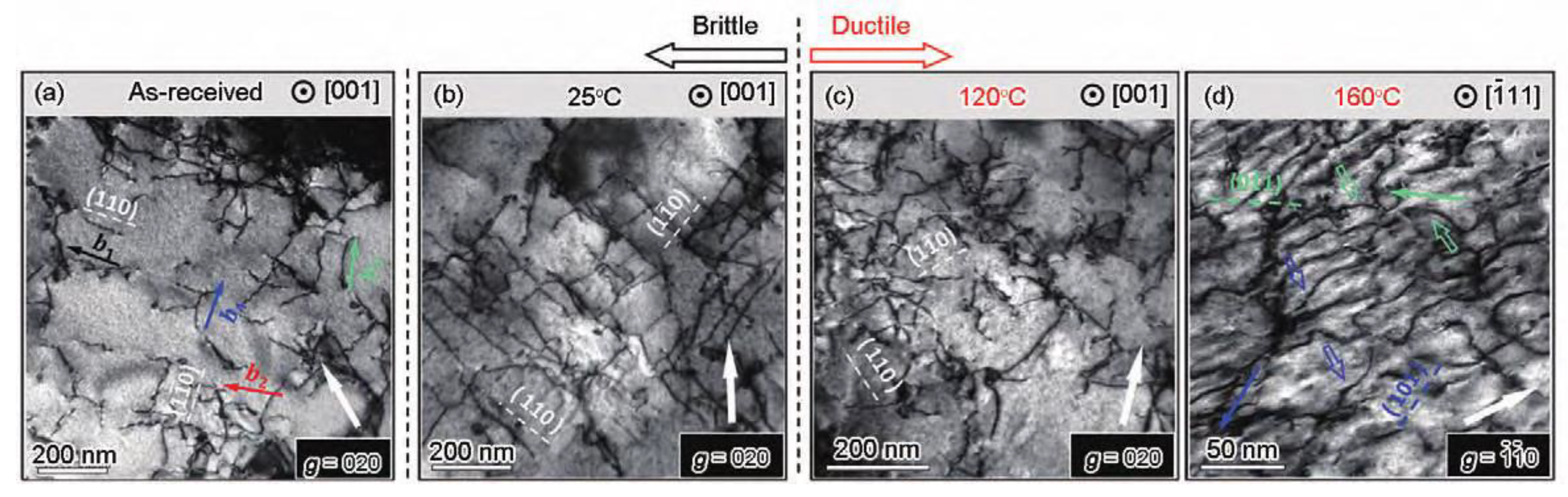 Preprints 158078 g006