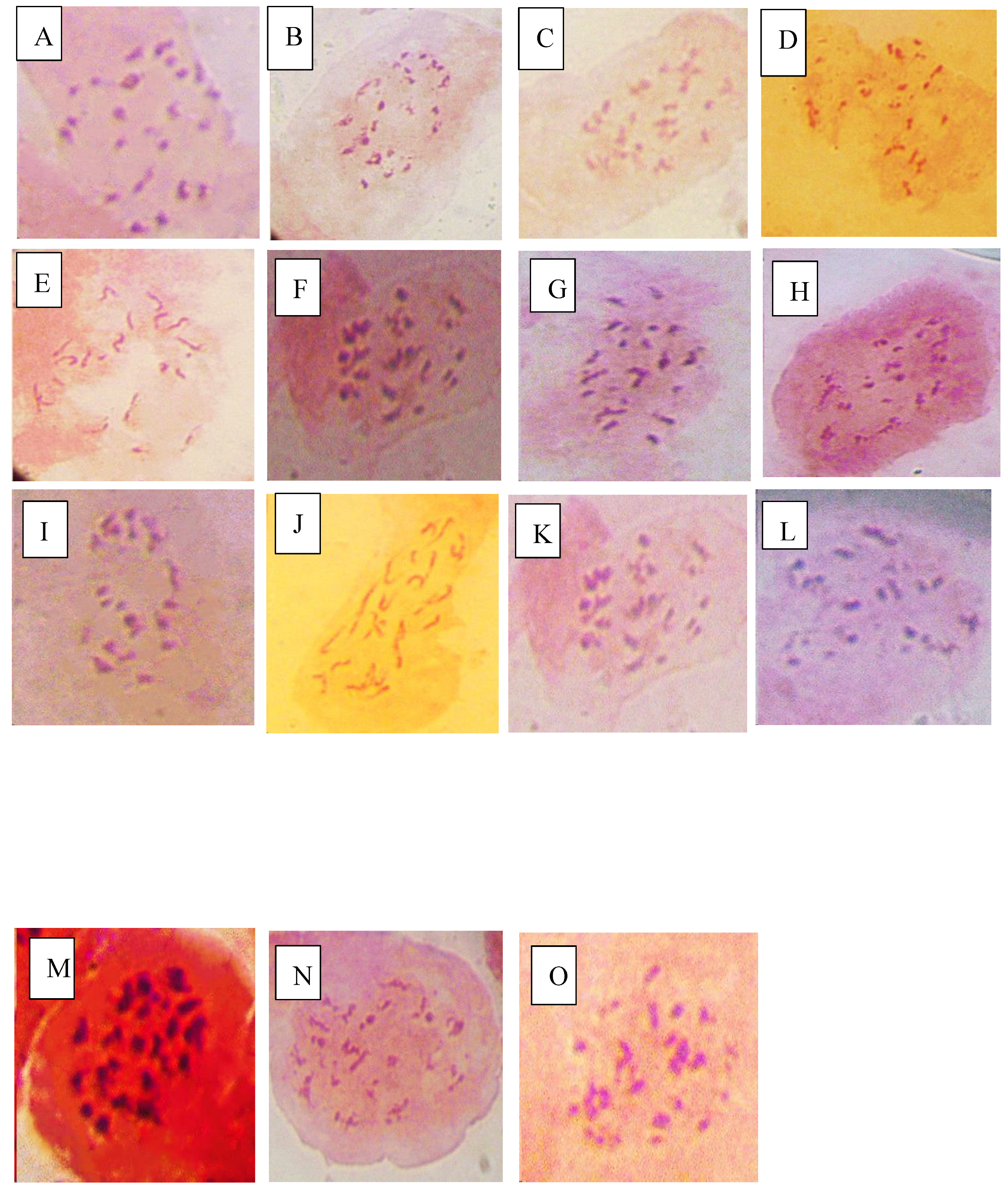 Preprints 145491 i004