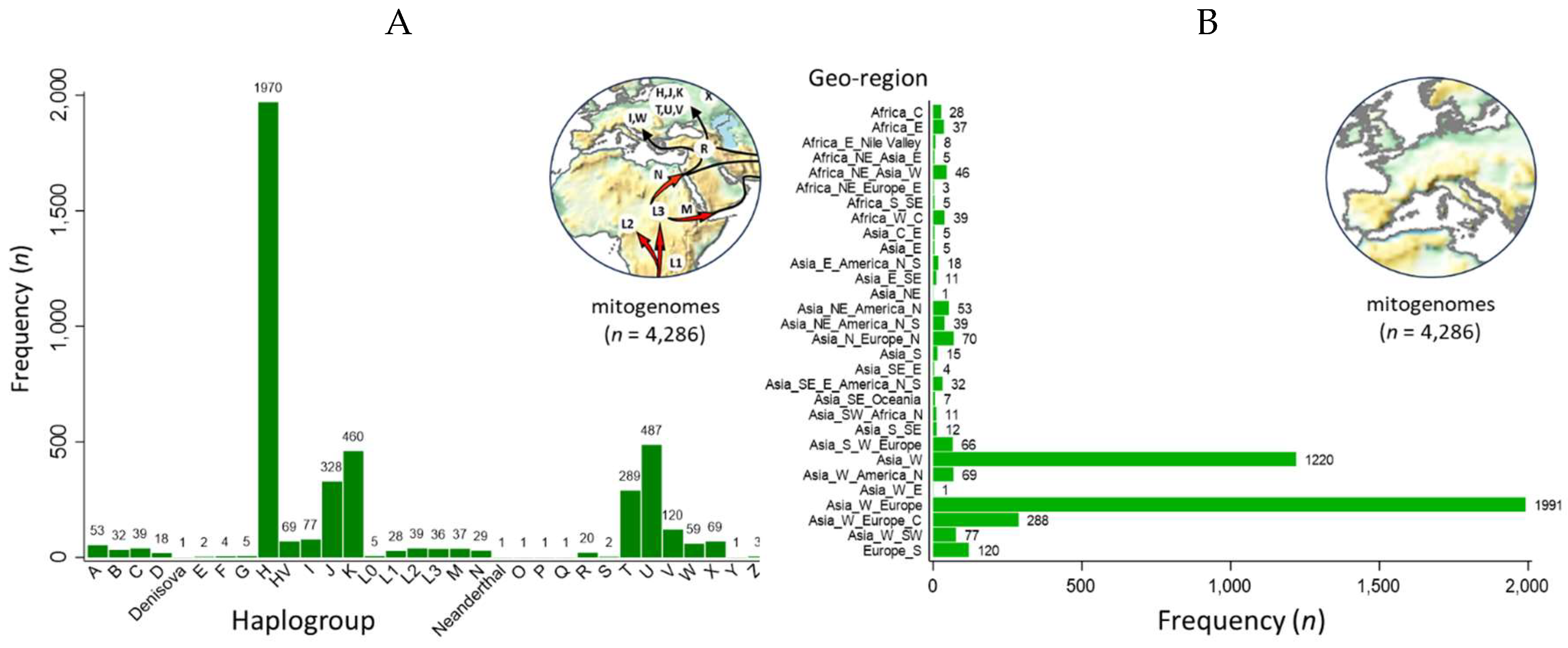 Preprints 80636 g001
