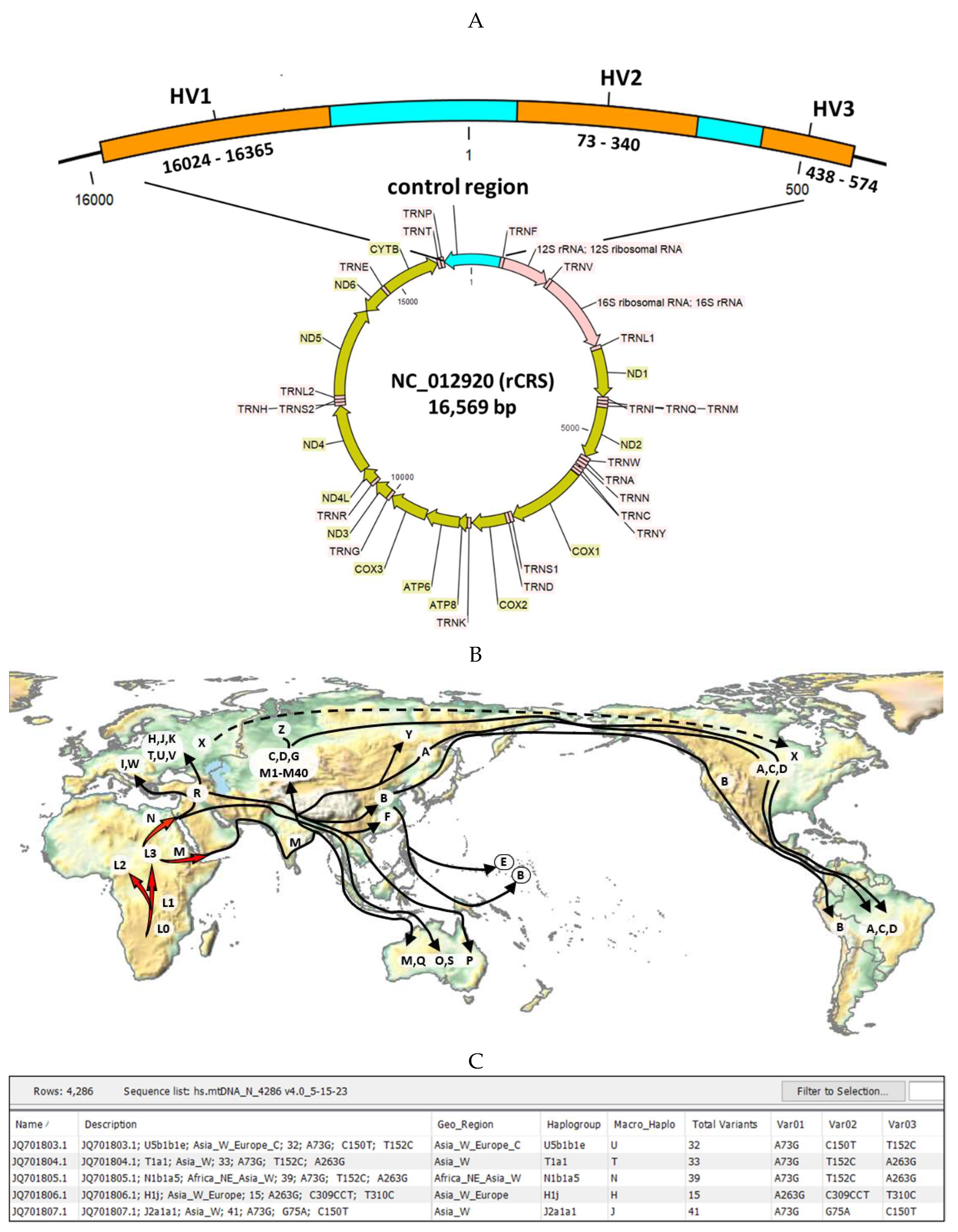 Preprints 80636 g006