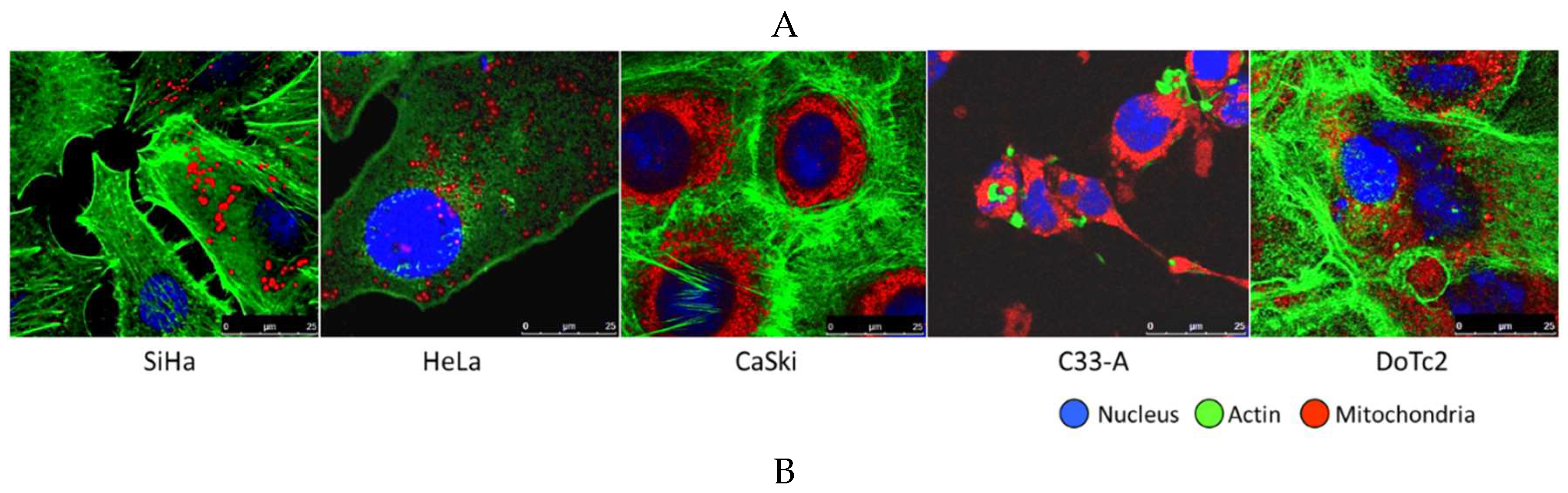 Preprints 80636 g008a