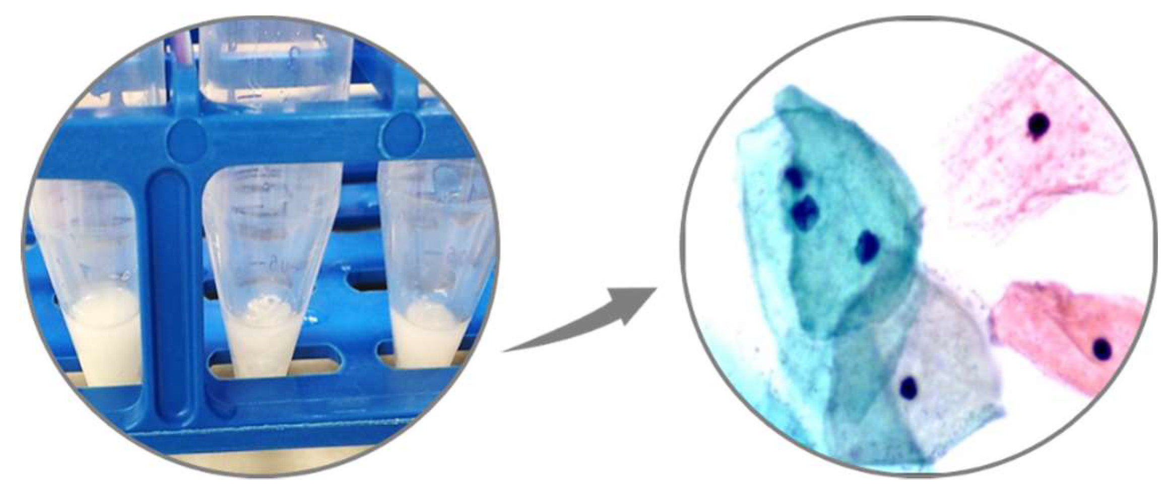 Preprints 80636 g008b