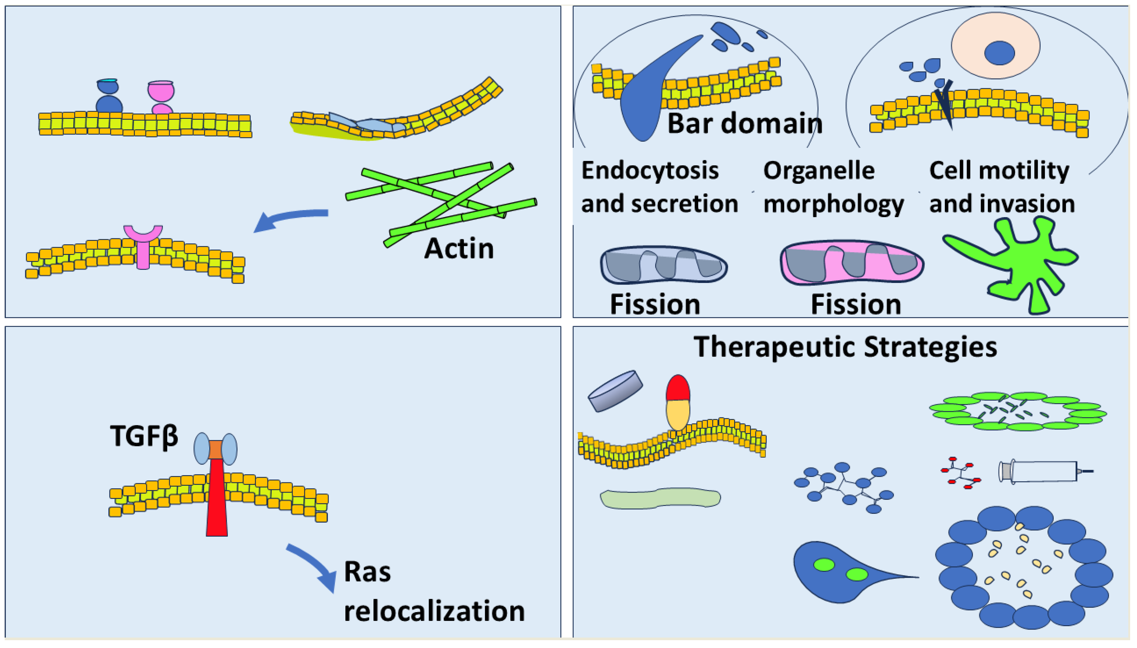 Preprints 192745 g001