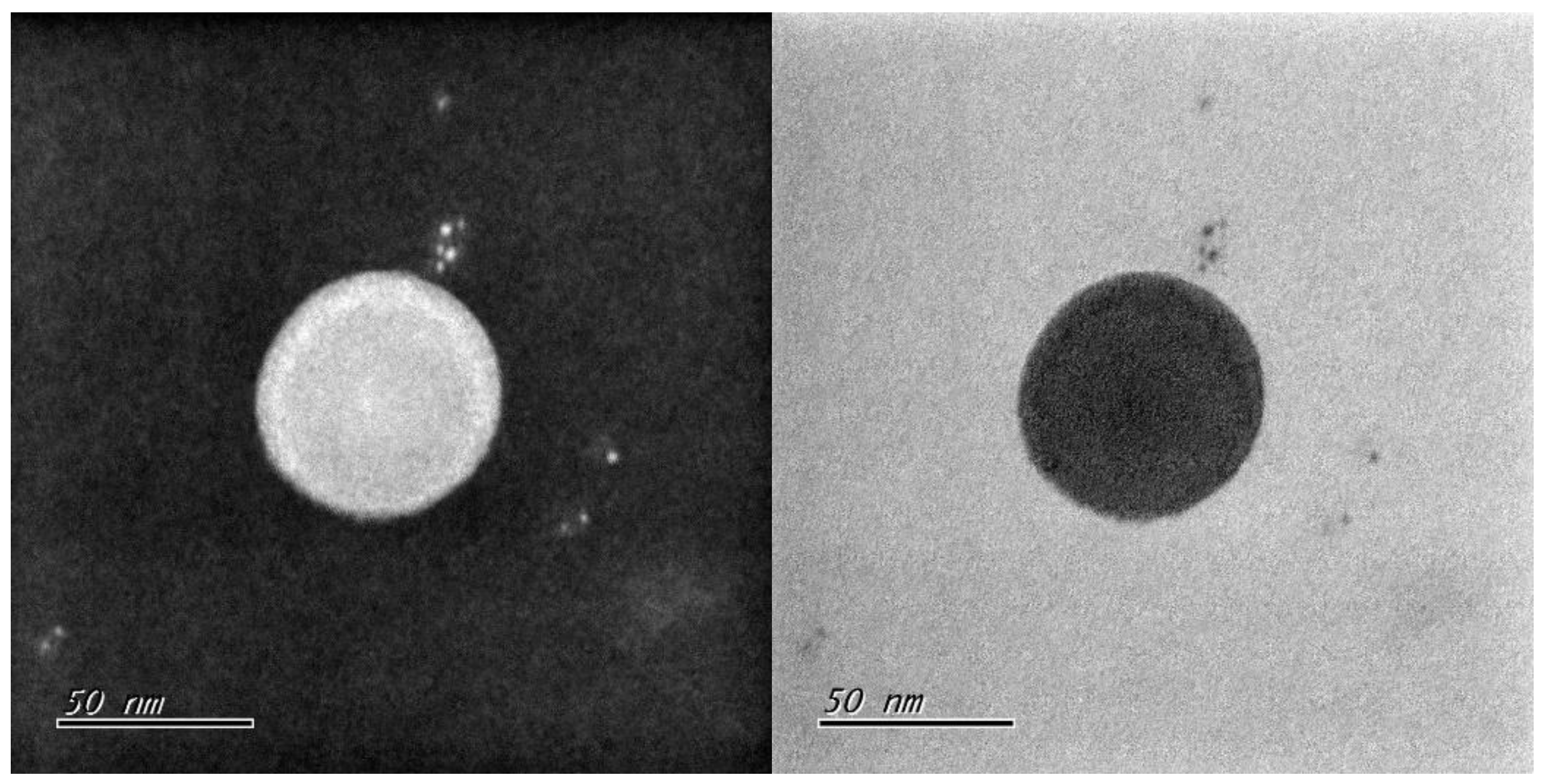 Preprints 140855 g001