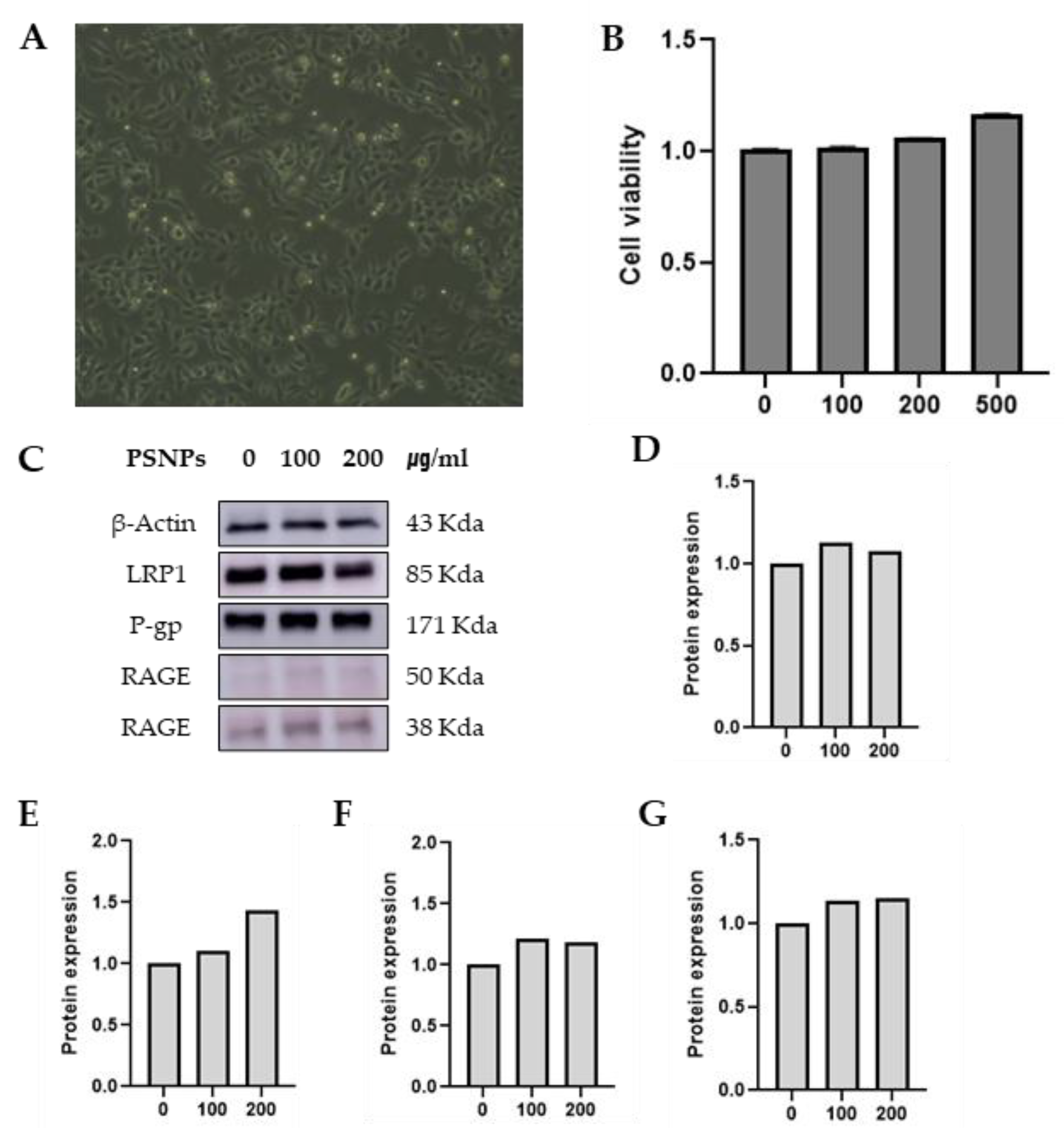 Preprints 140855 g002