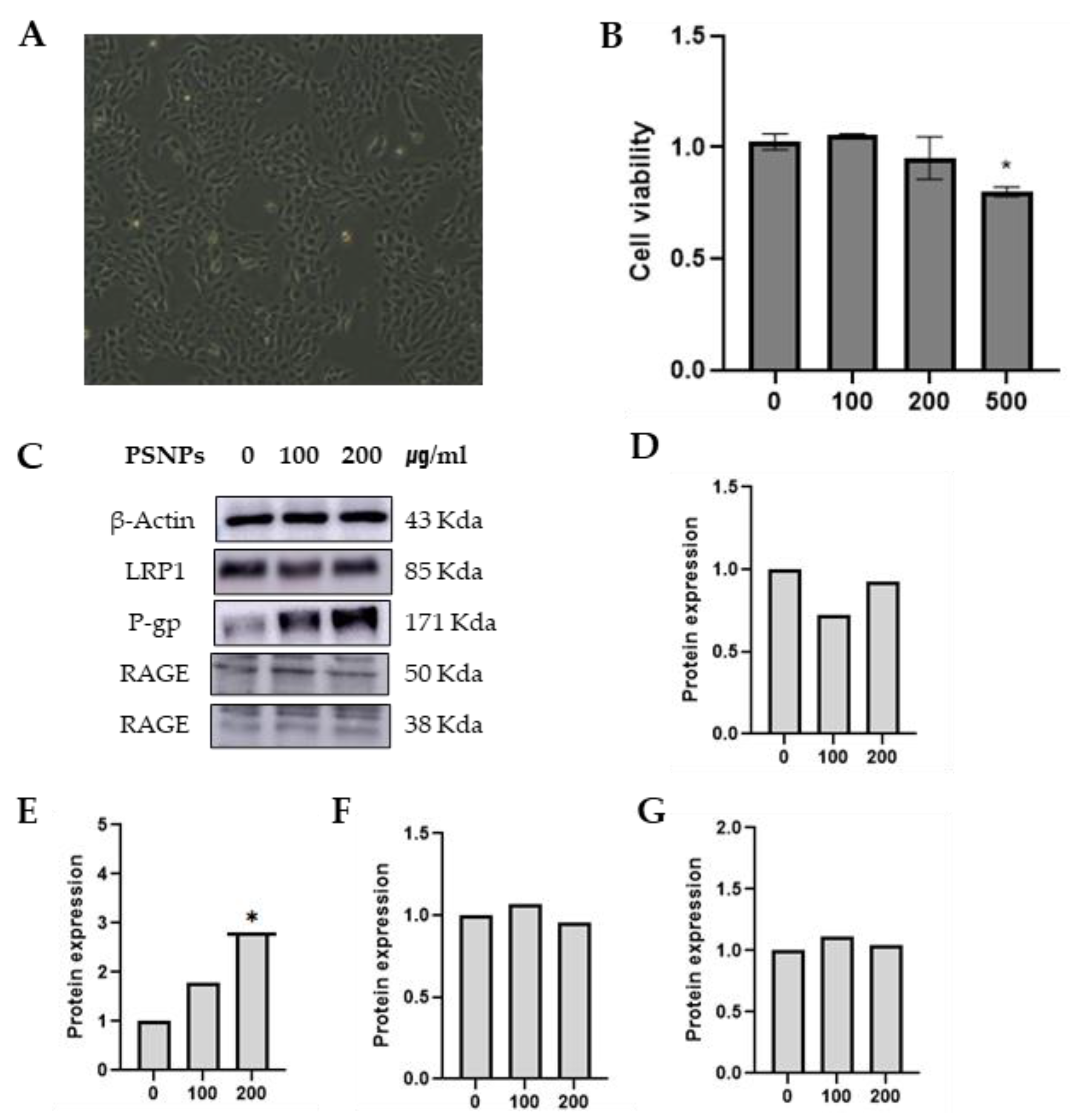 Preprints 140855 g003