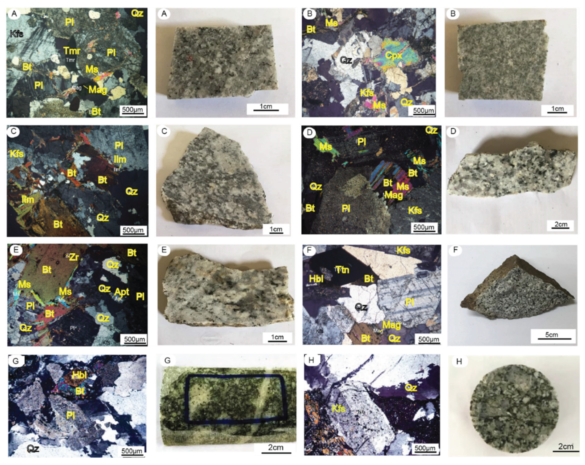 Preprints 189271 g002