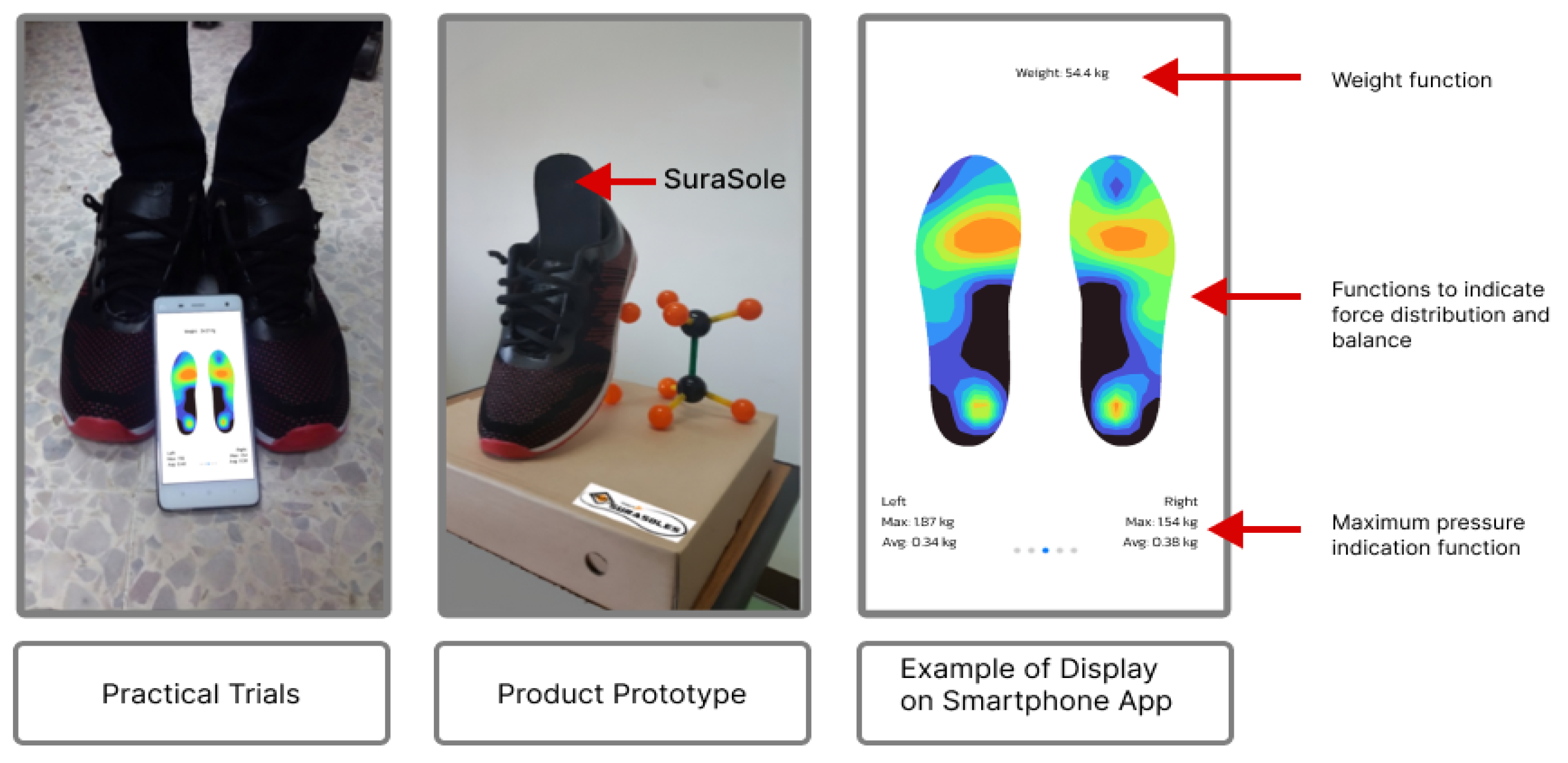 Preprints 191204 g001