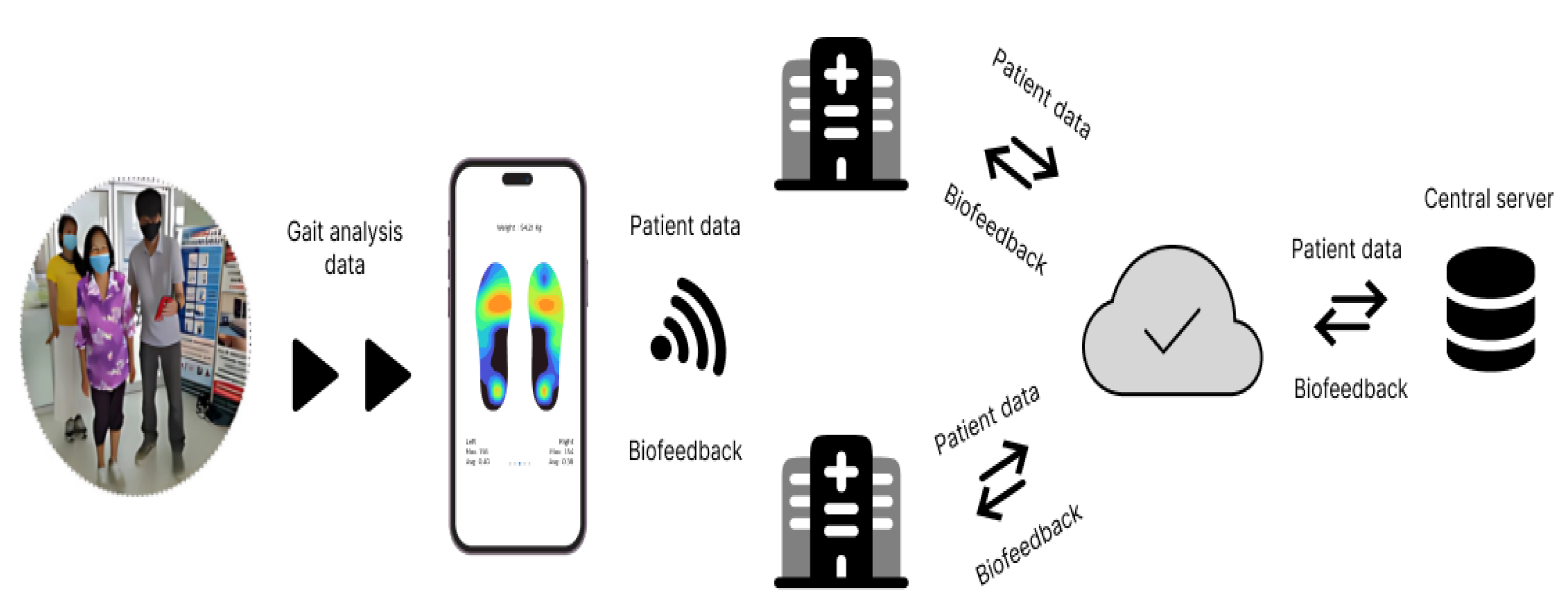 Preprints 191204 g002