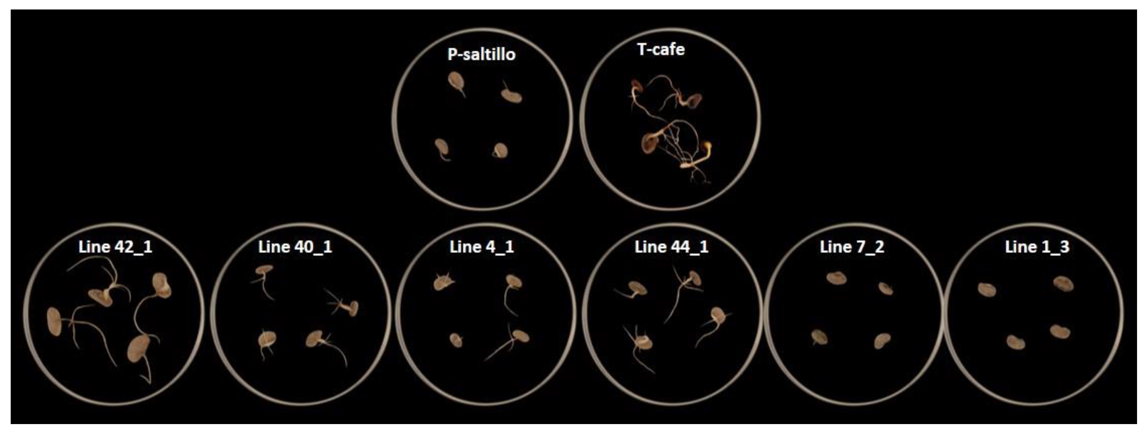 Preprints 143403 g009