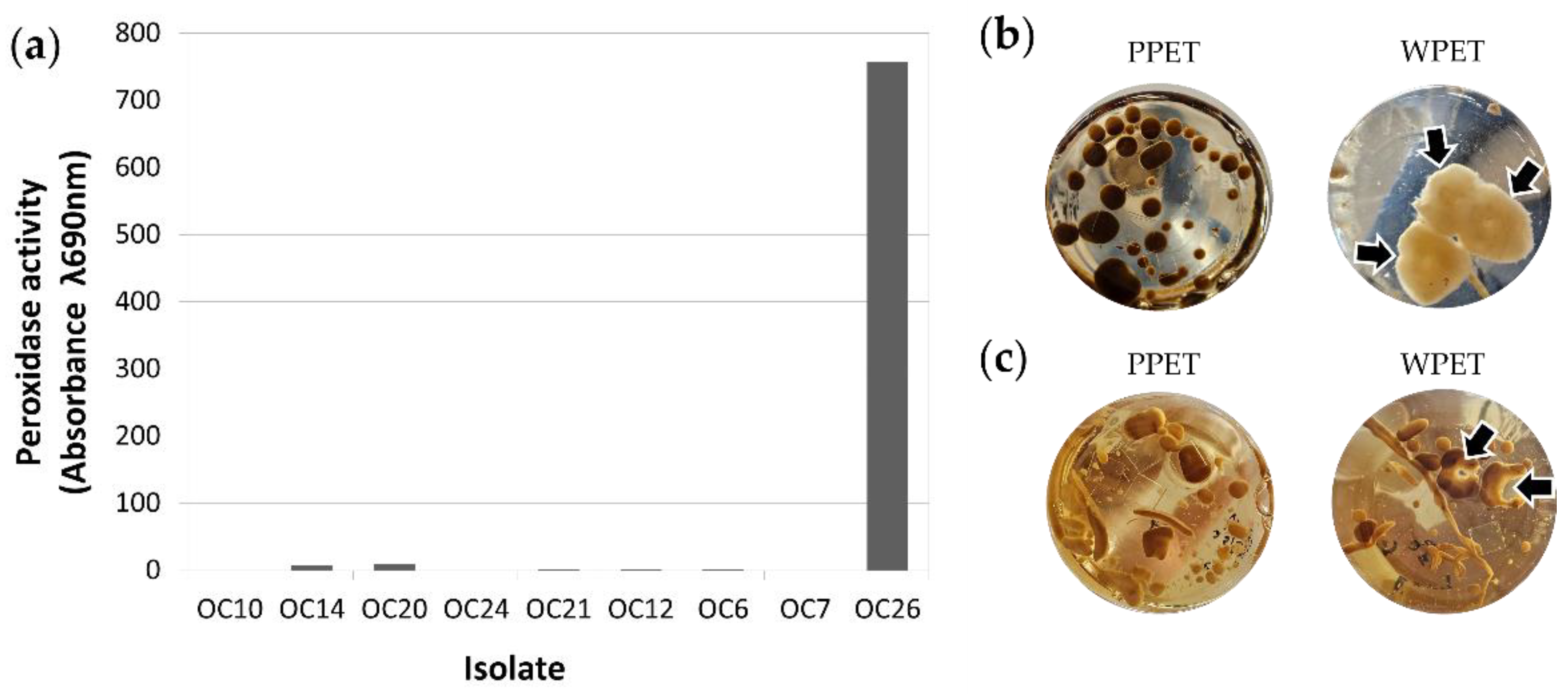 Preprints 223426 g004