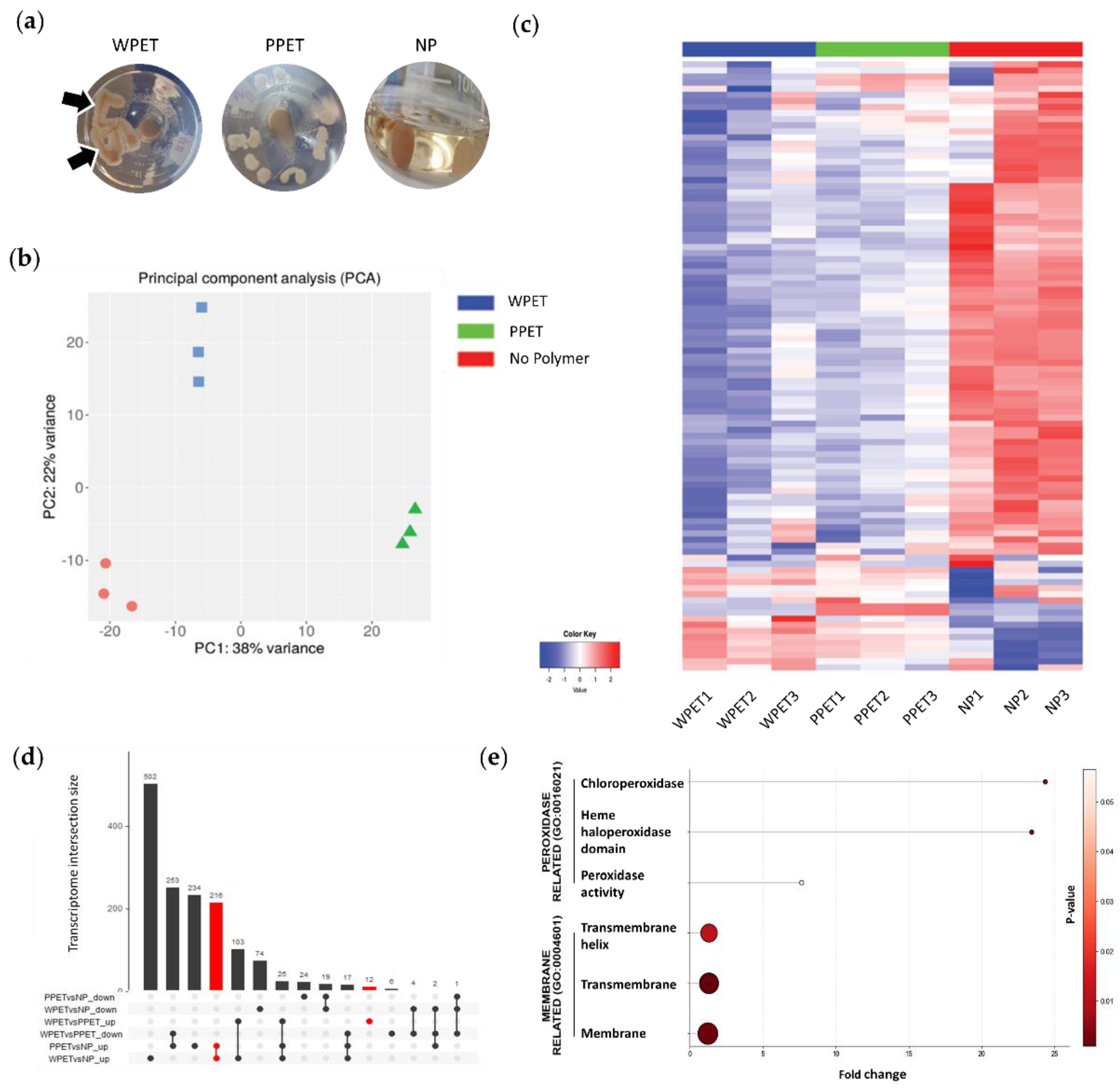 Preprints 223426 g005