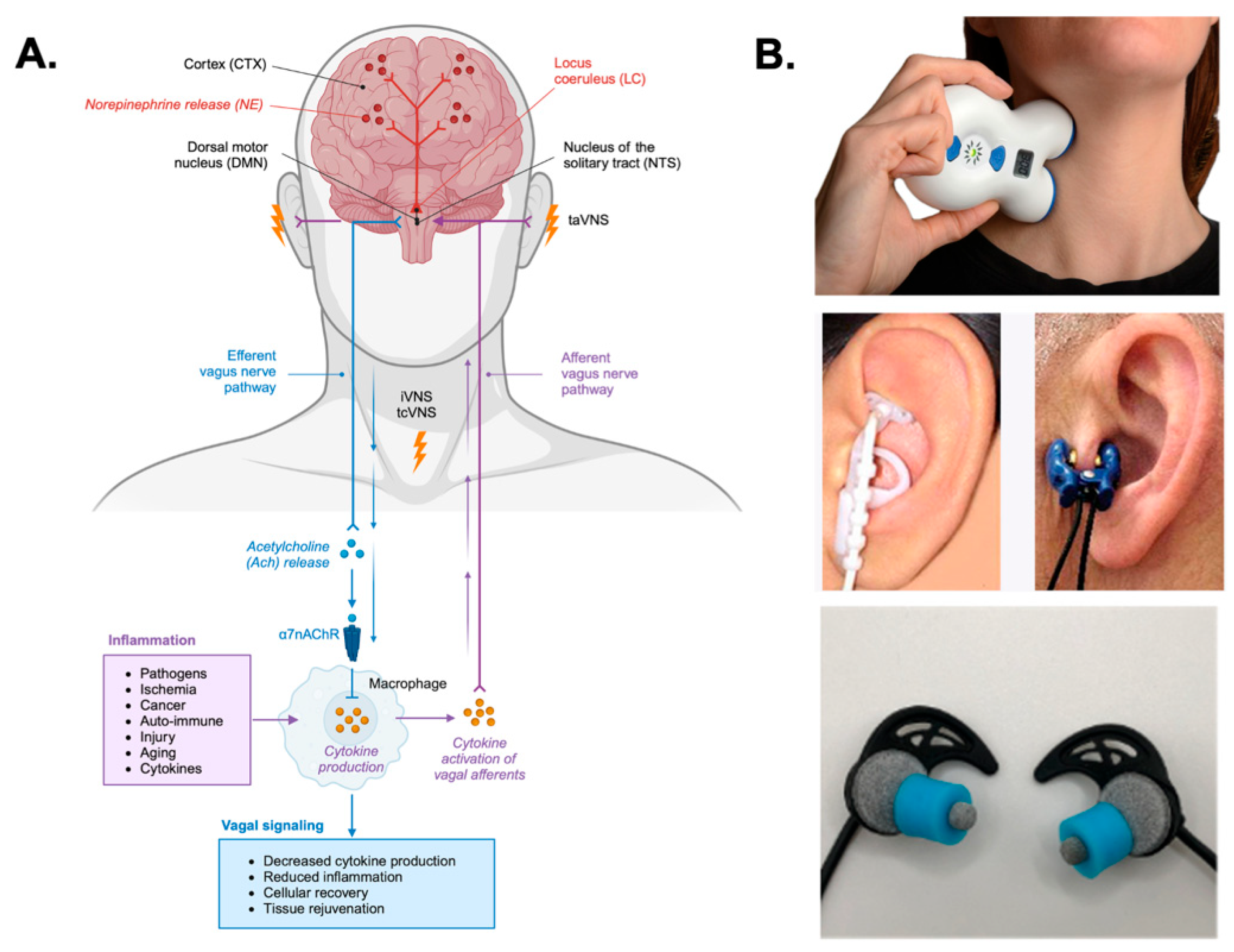 Preprints 182596 g001