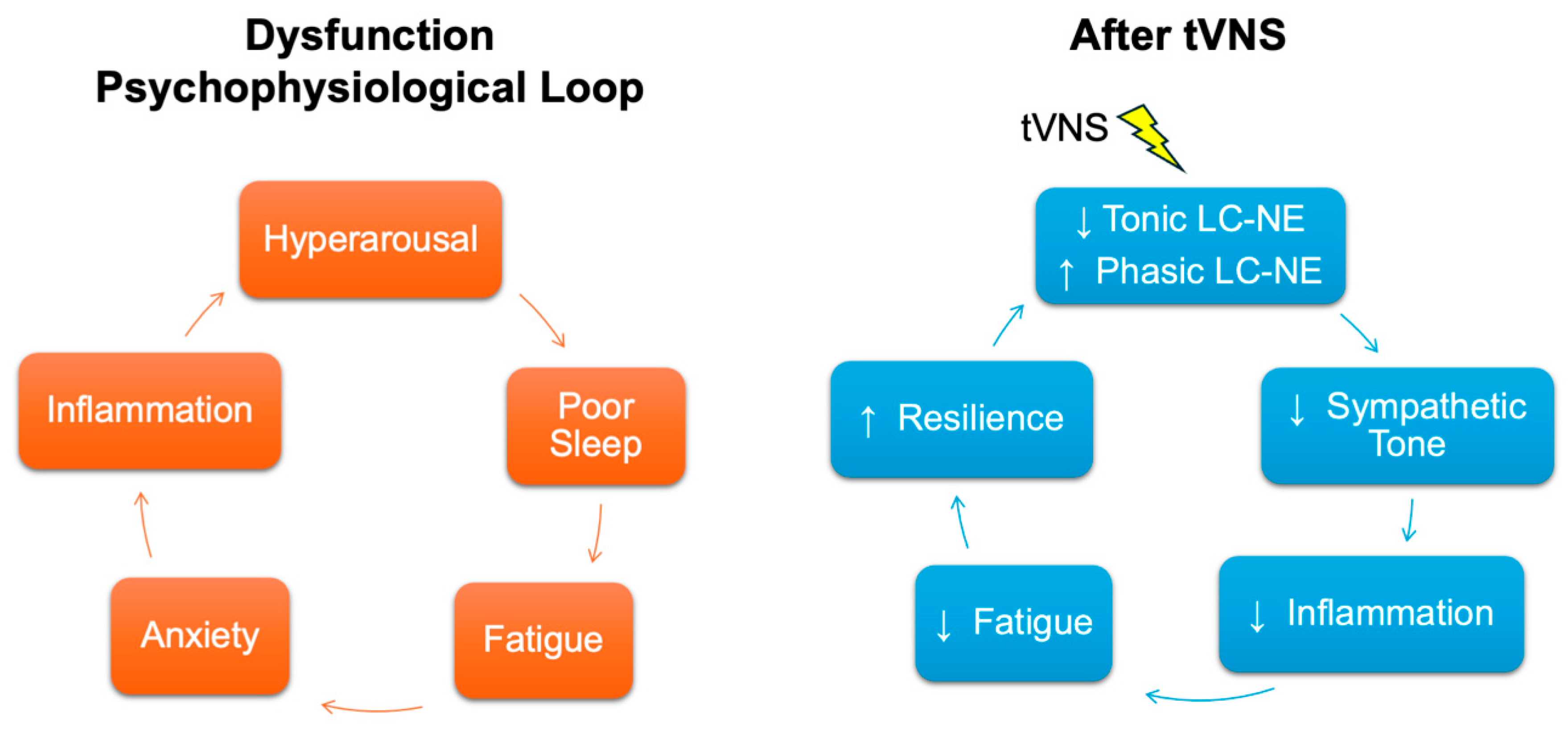 Preprints 182596 g003