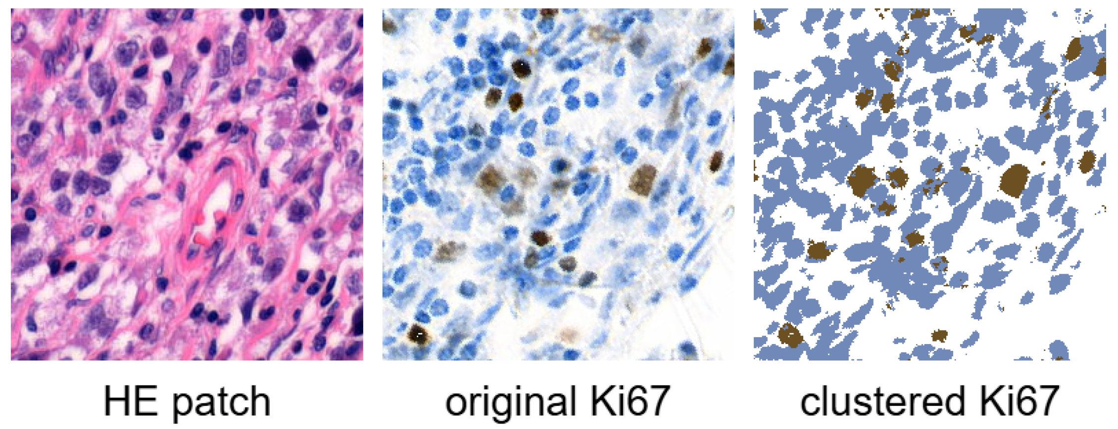 Preprints 151998 g001