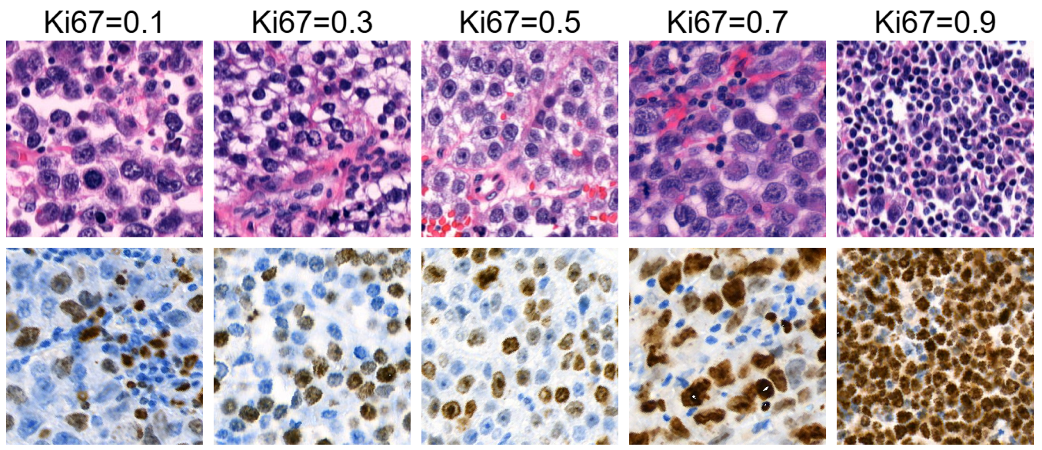 Preprints 151998 g002
