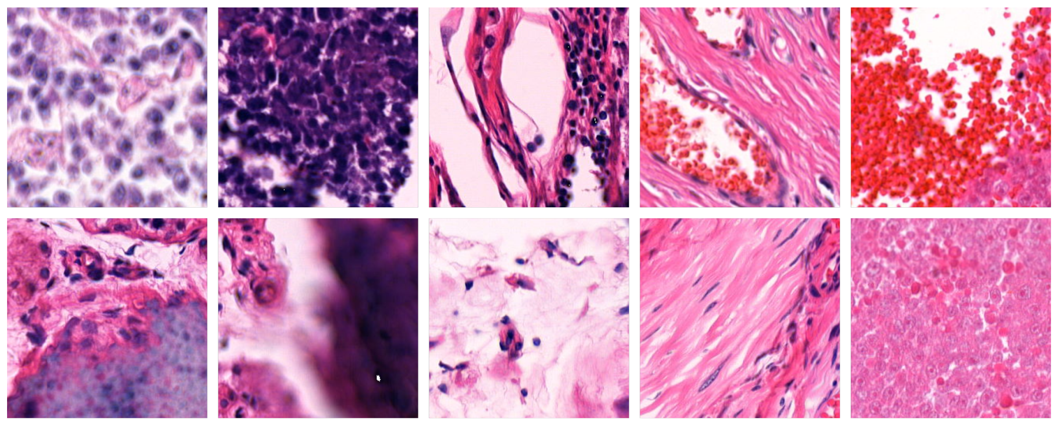 Preprints 151998 g003