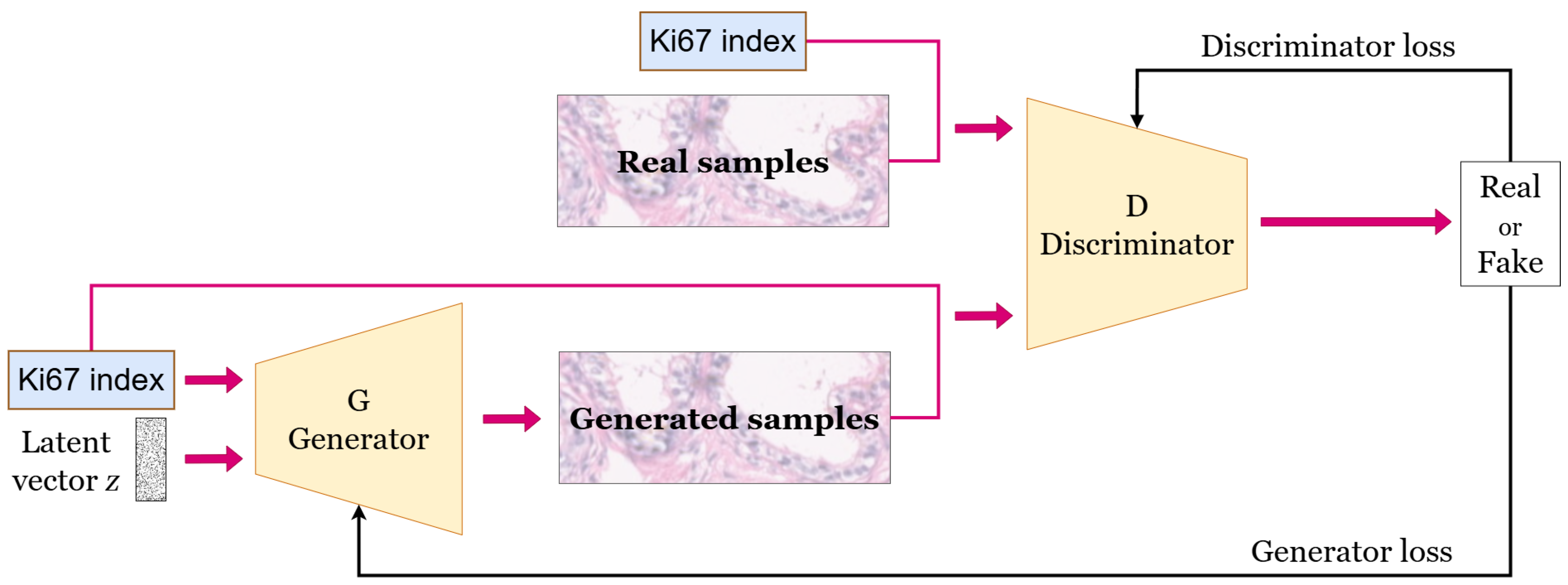 Preprints 151998 g004