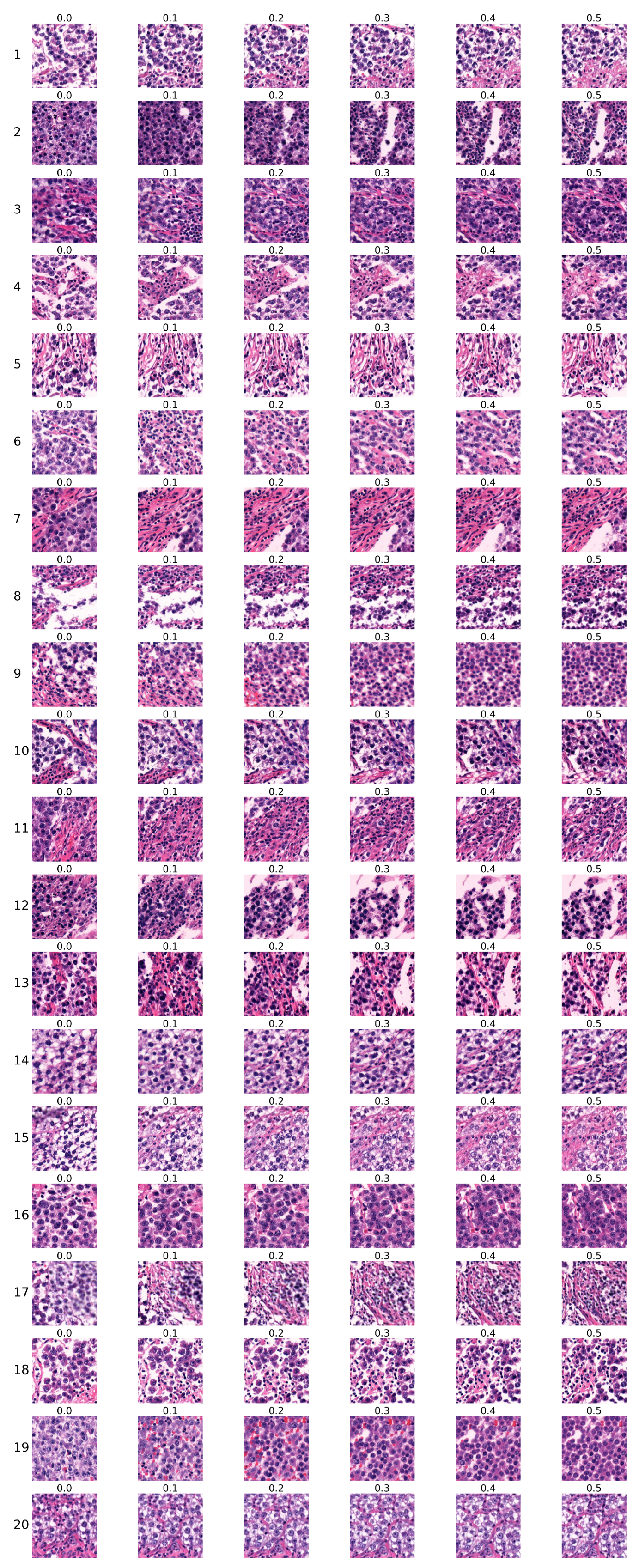 Preprints 151998 g009