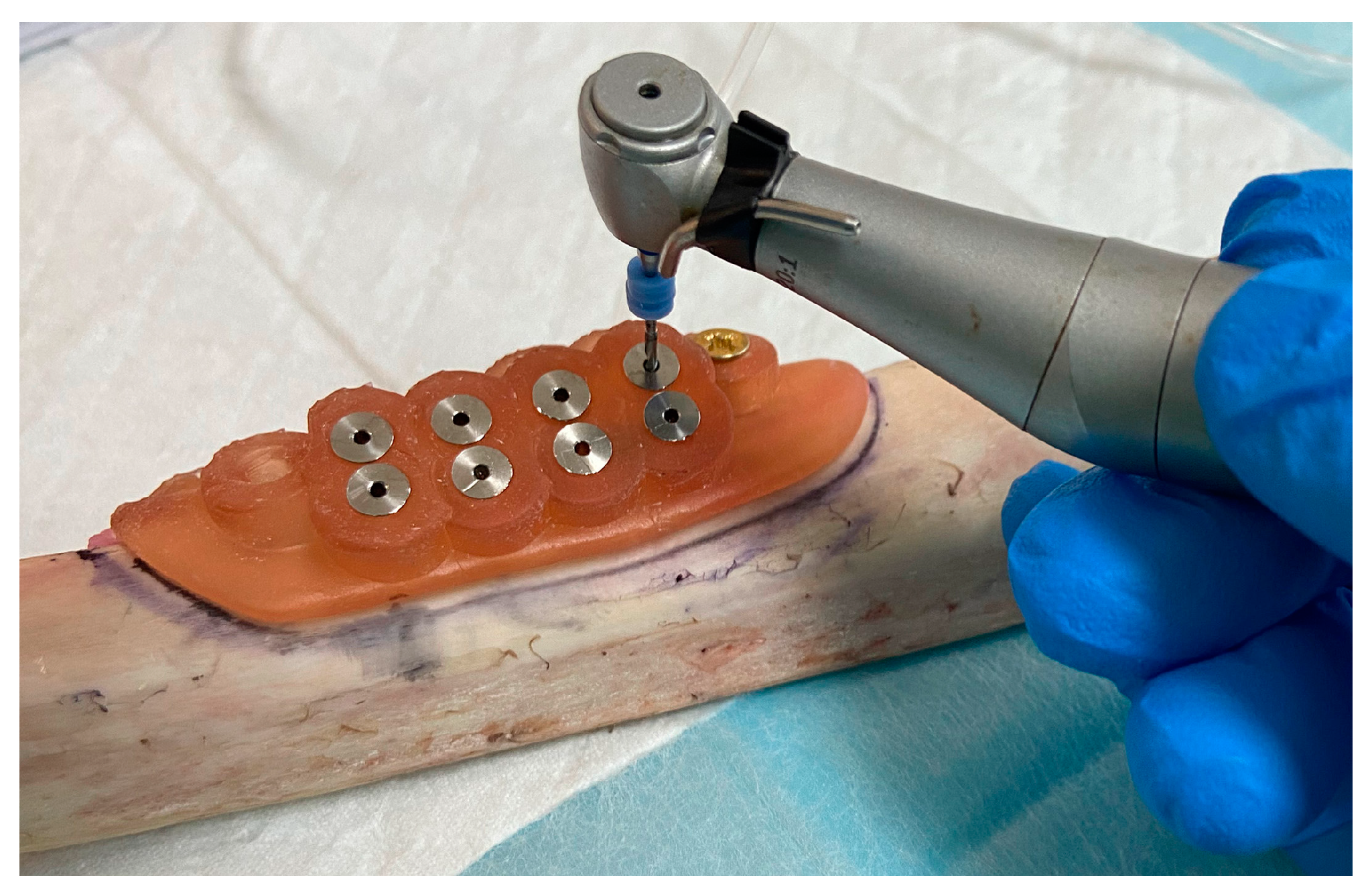 Preprints 73249 g004