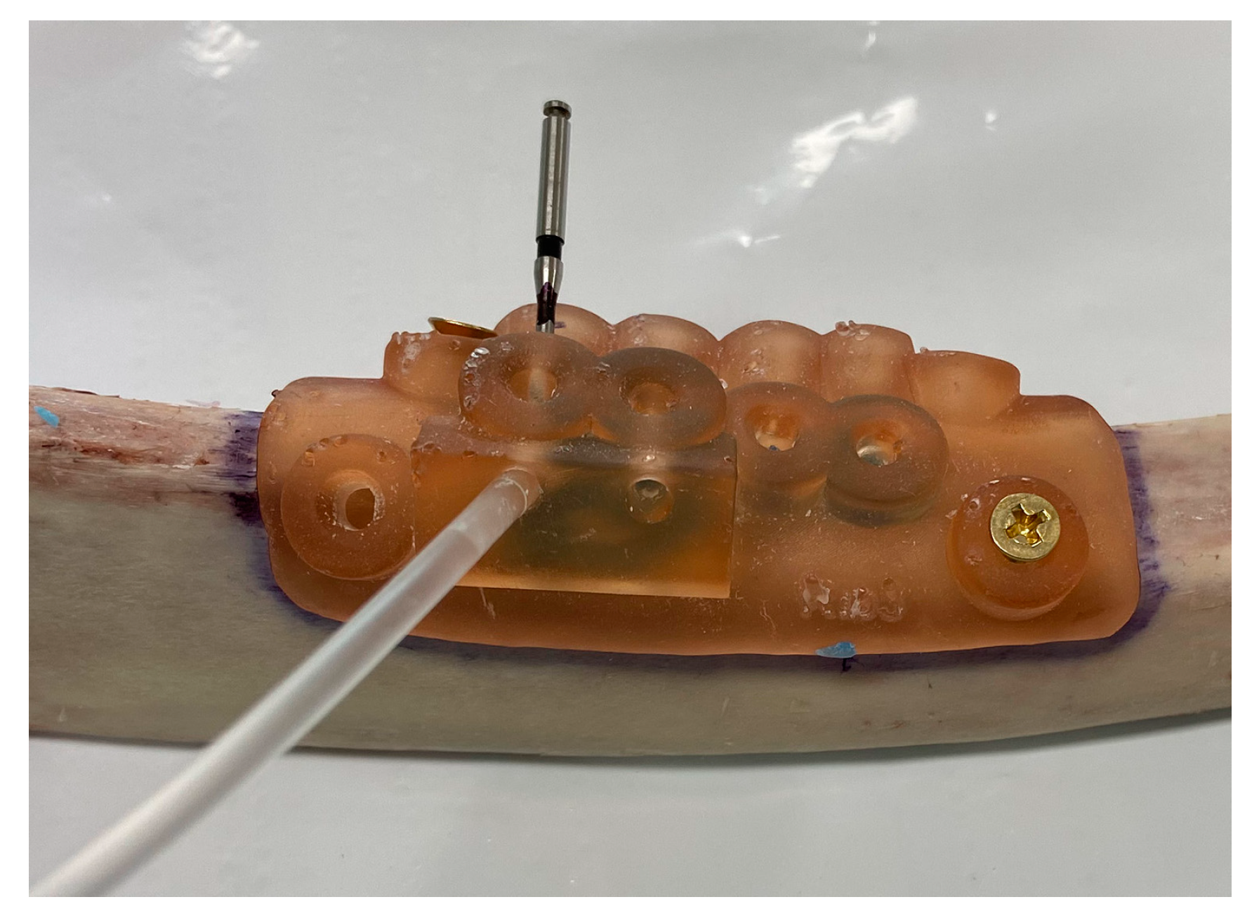 Preprints 73249 g005