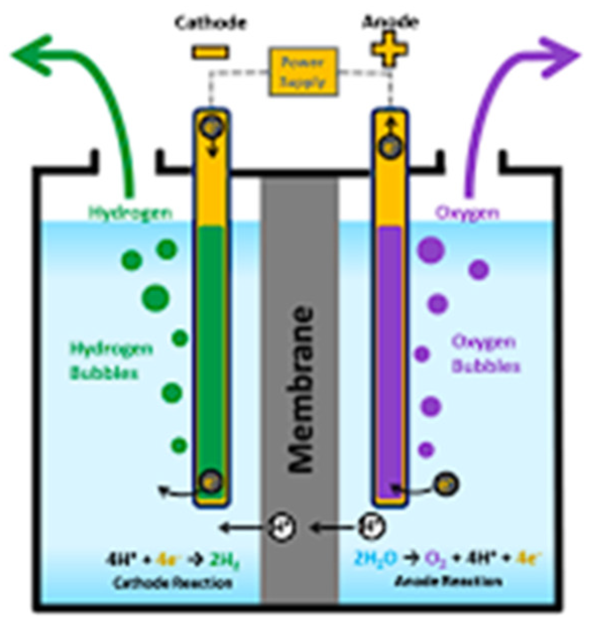 Preprints 155396 g002