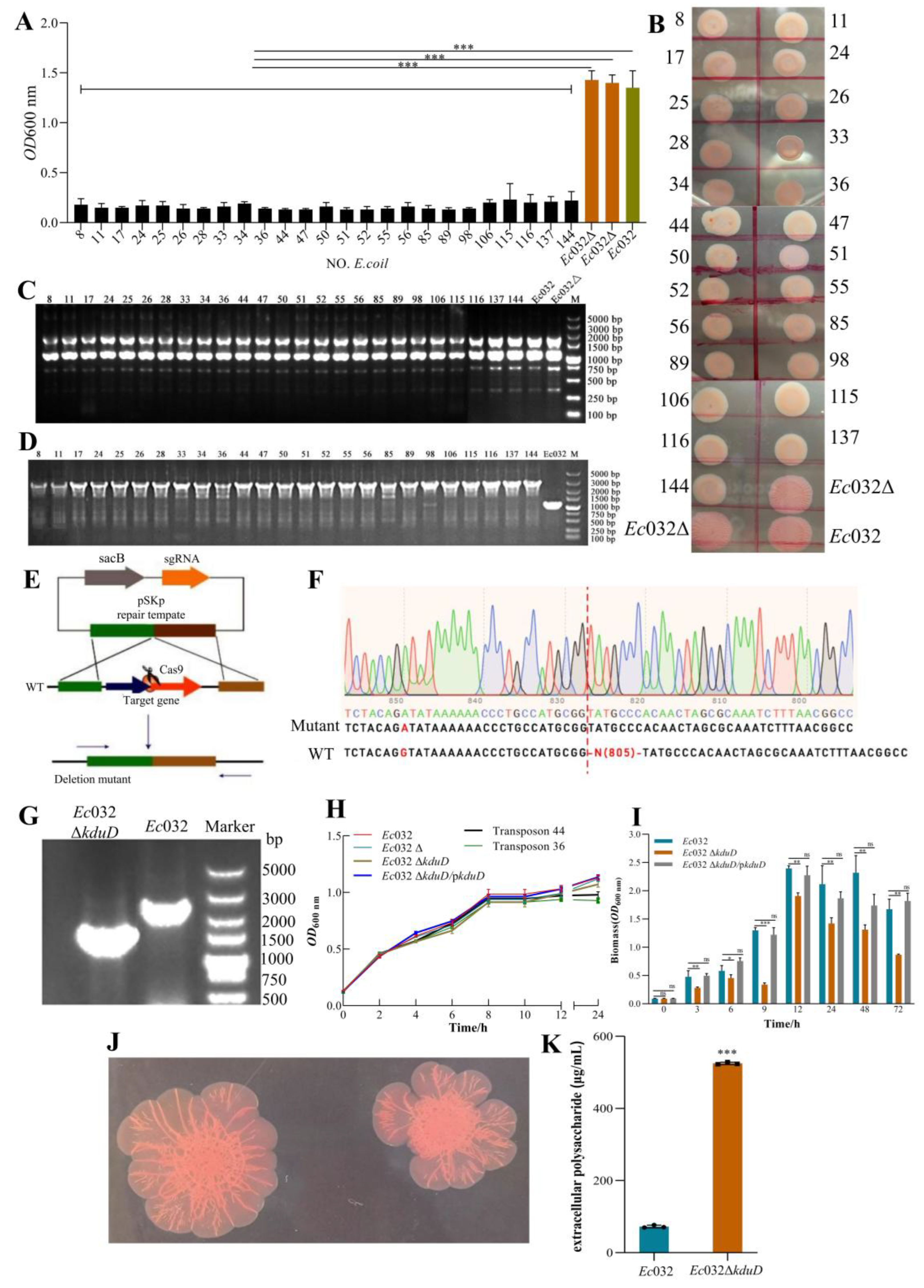 Preprints 190486 g002