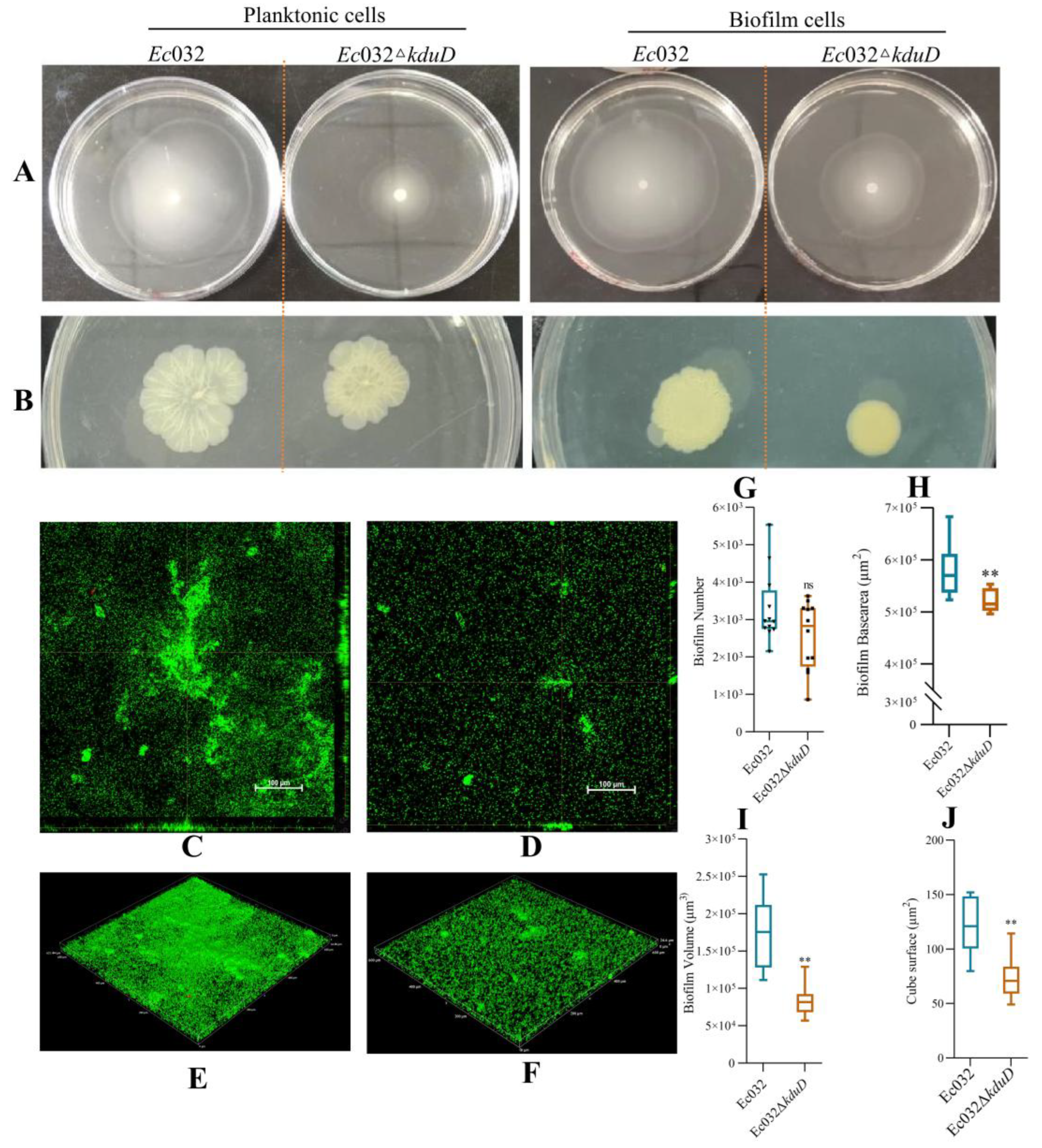 Preprints 190486 g003