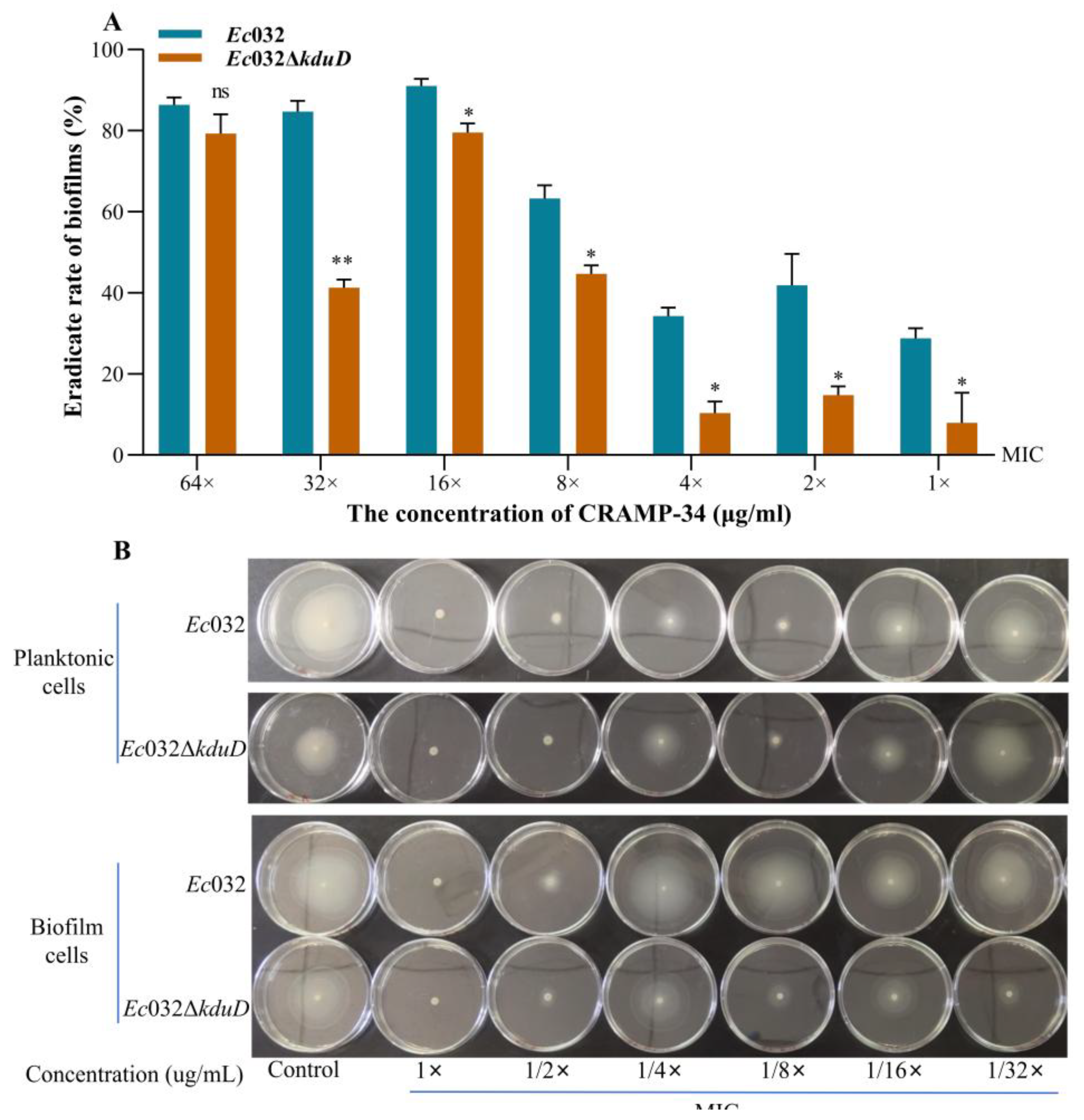 Preprints 190486 g005