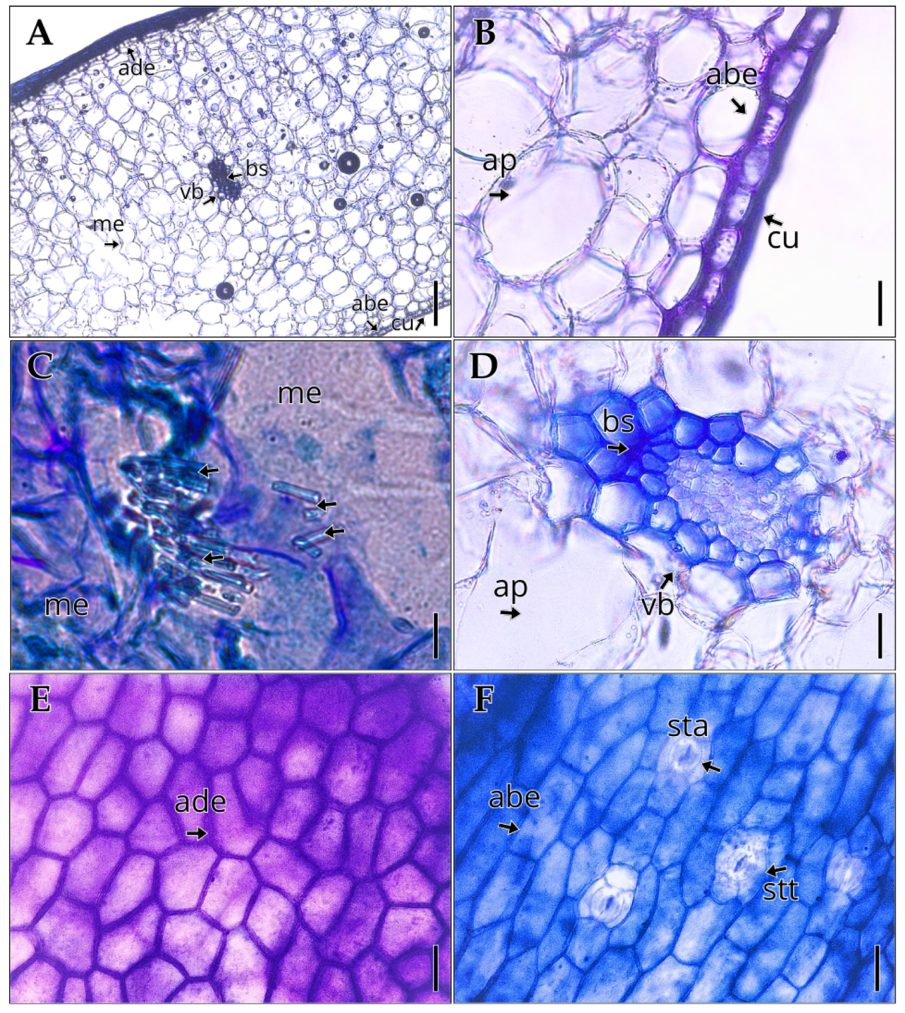 Preprints 178548 g003